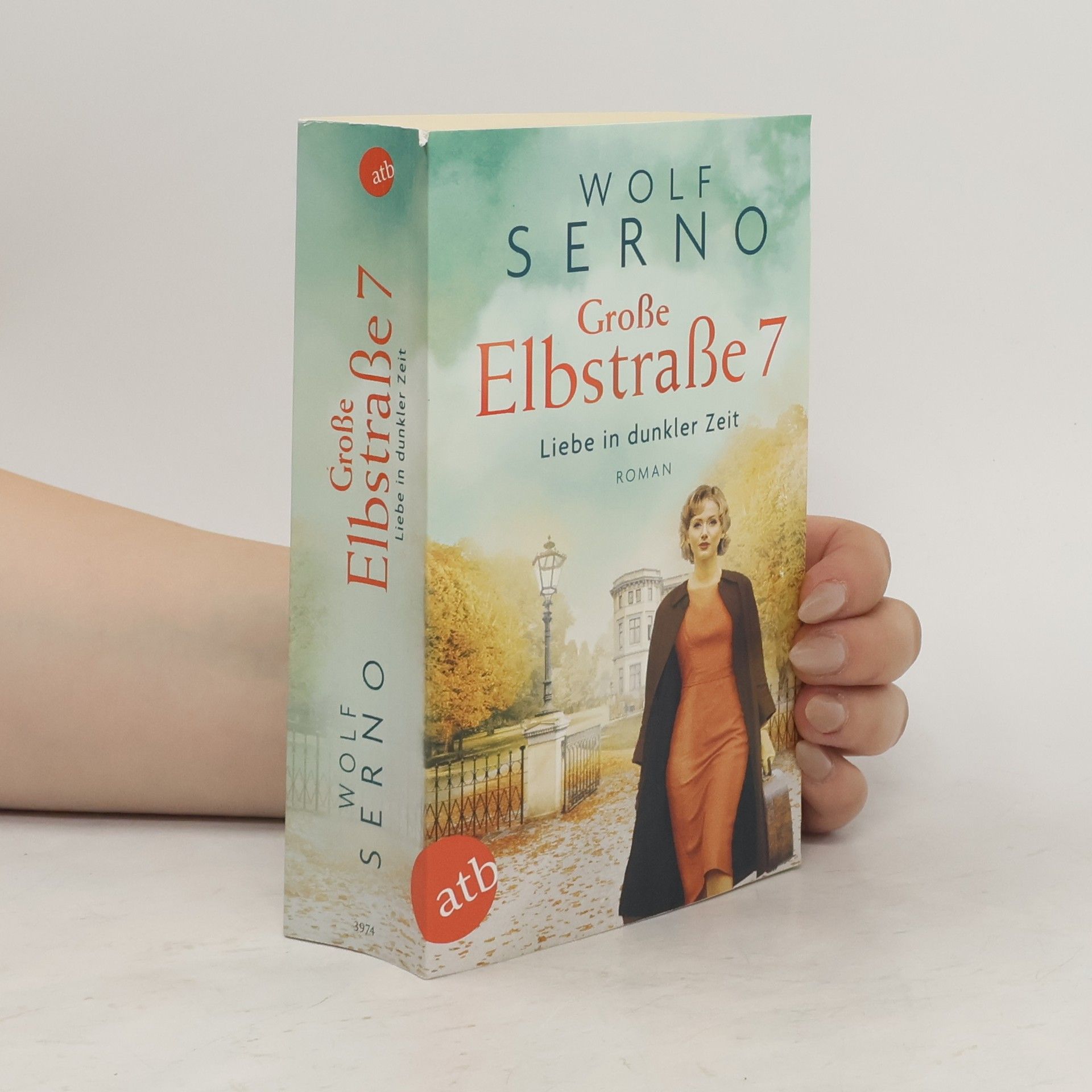 Wolf Serno Große Elbstraße 7 - Liebe in dunkler Zeit