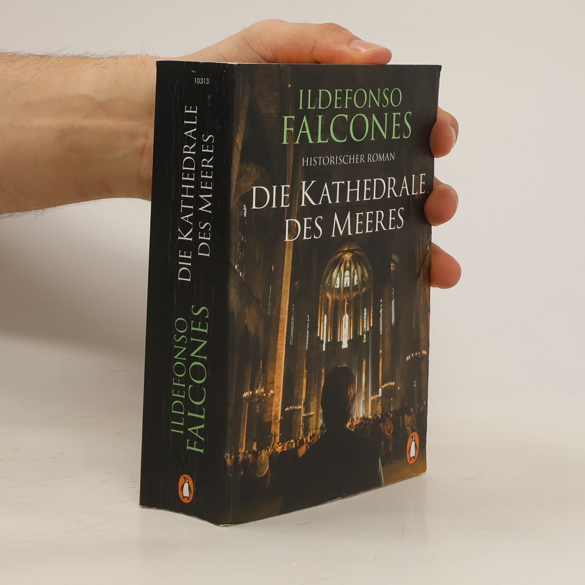 Ildefonso Falcones Die Kathedrale des Meeres