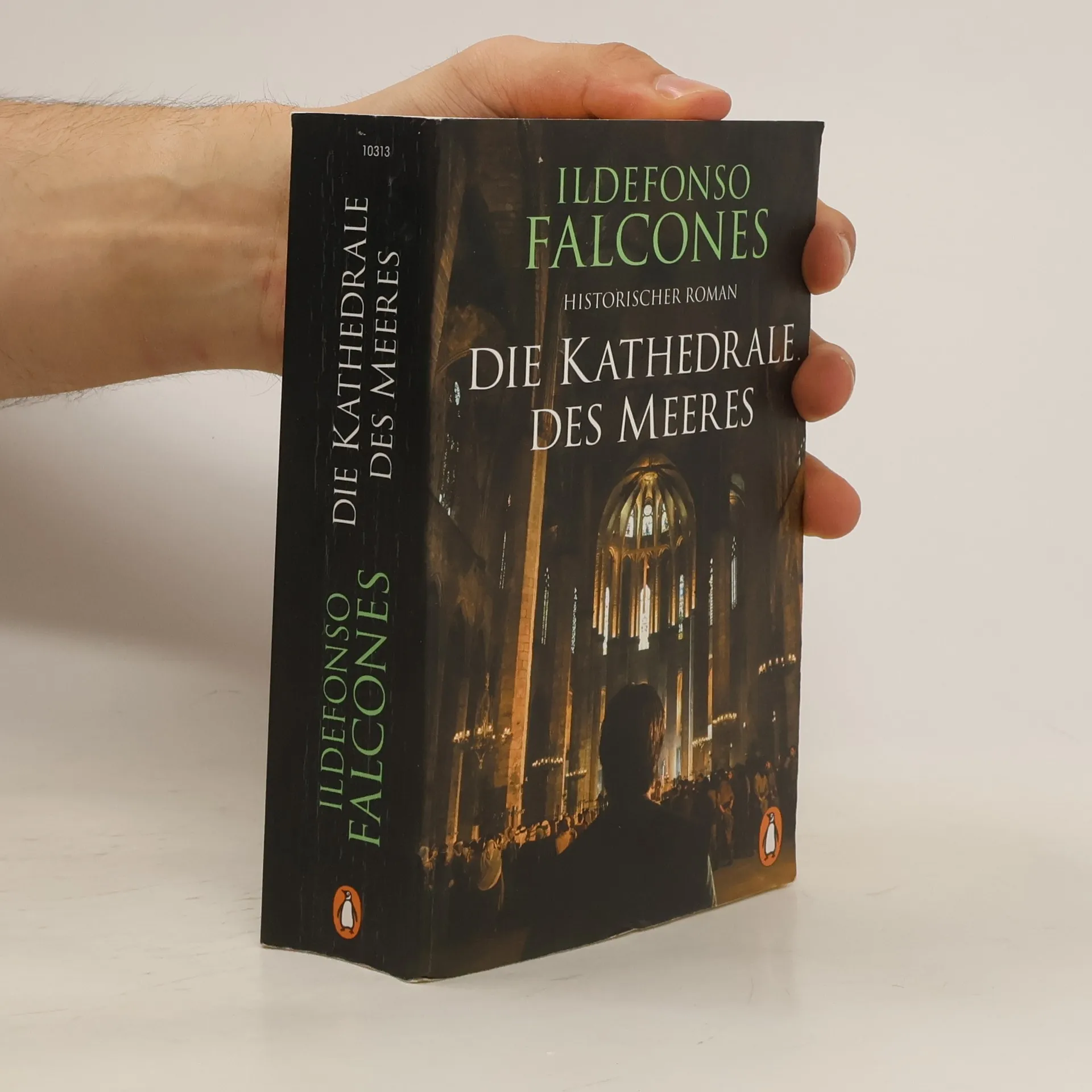 Die Kathedrale des Meeres | Libro | Ildefonso Falcones | DE