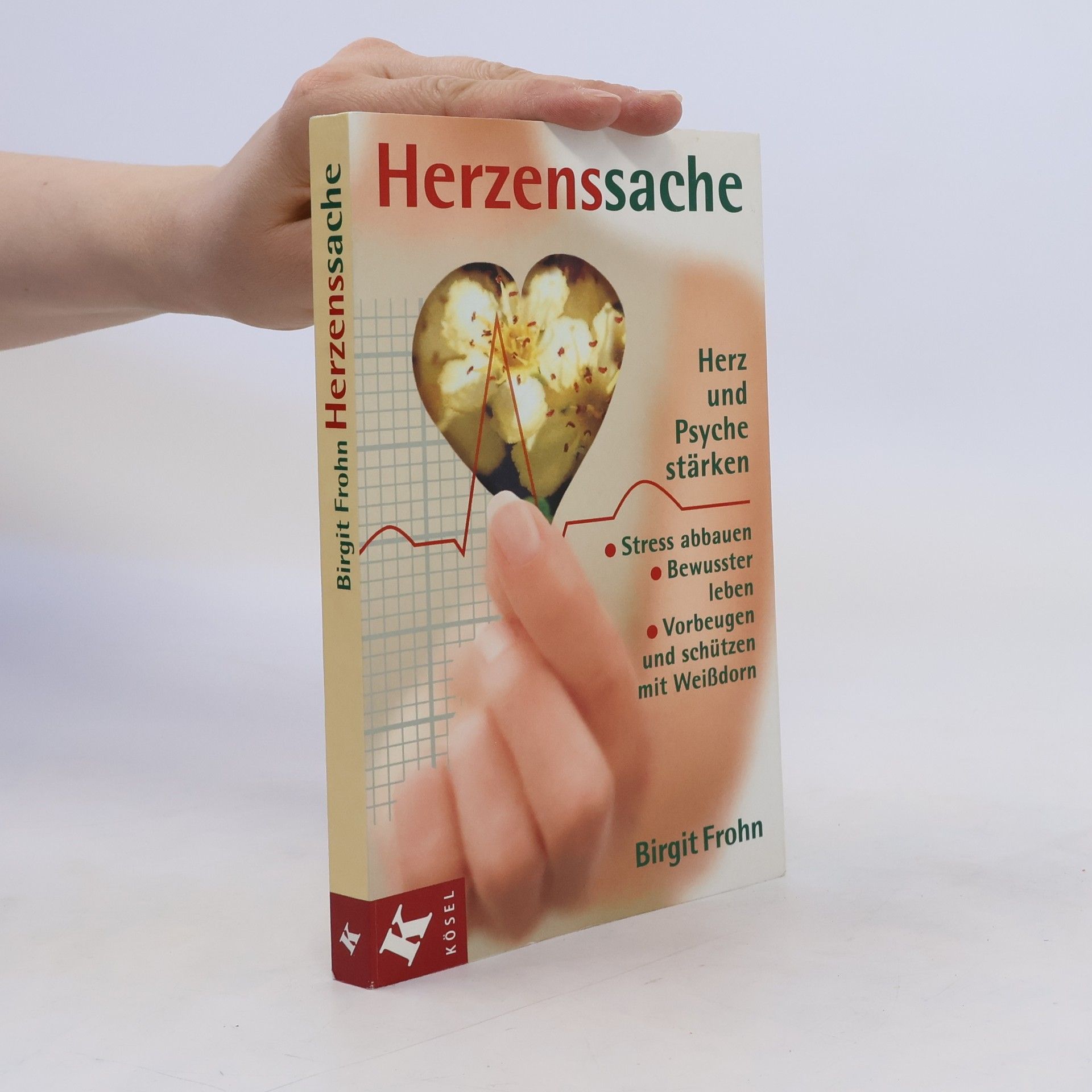 Brigit Frohn Herzenssache