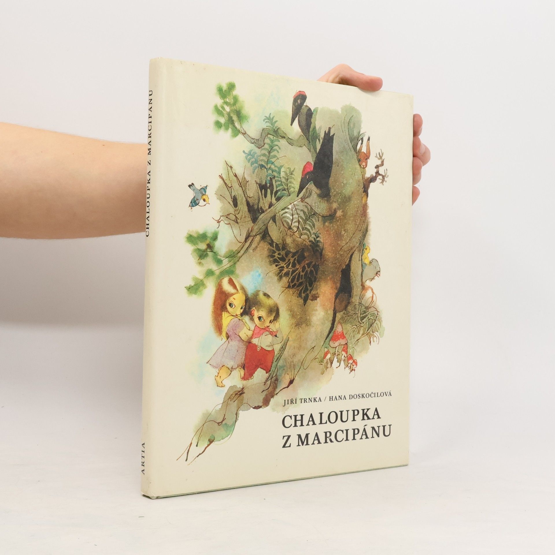 Jiří Trnka Chaloupka z marcipánu