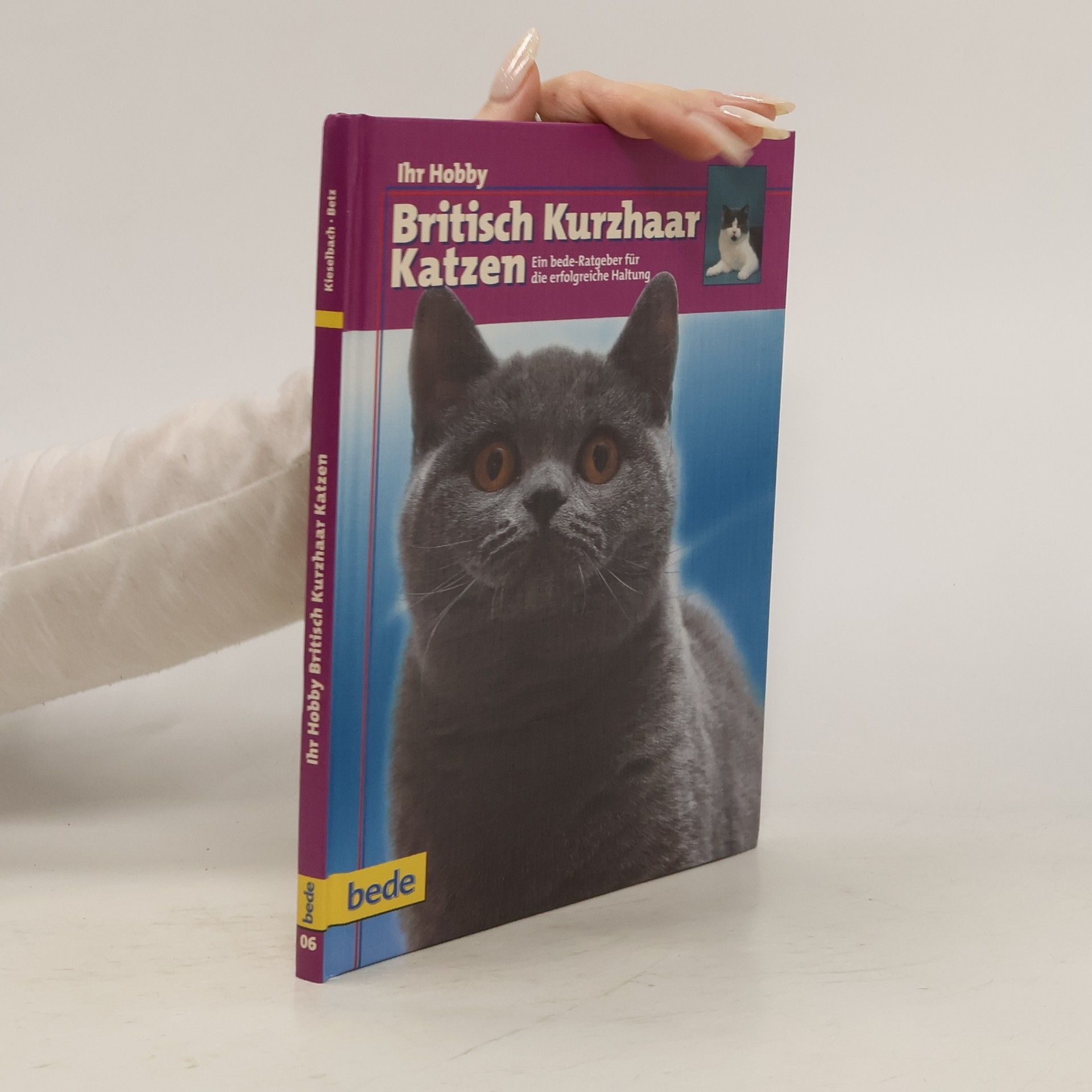 Dominik Kieselbach British-Kurzhaar-Katzen