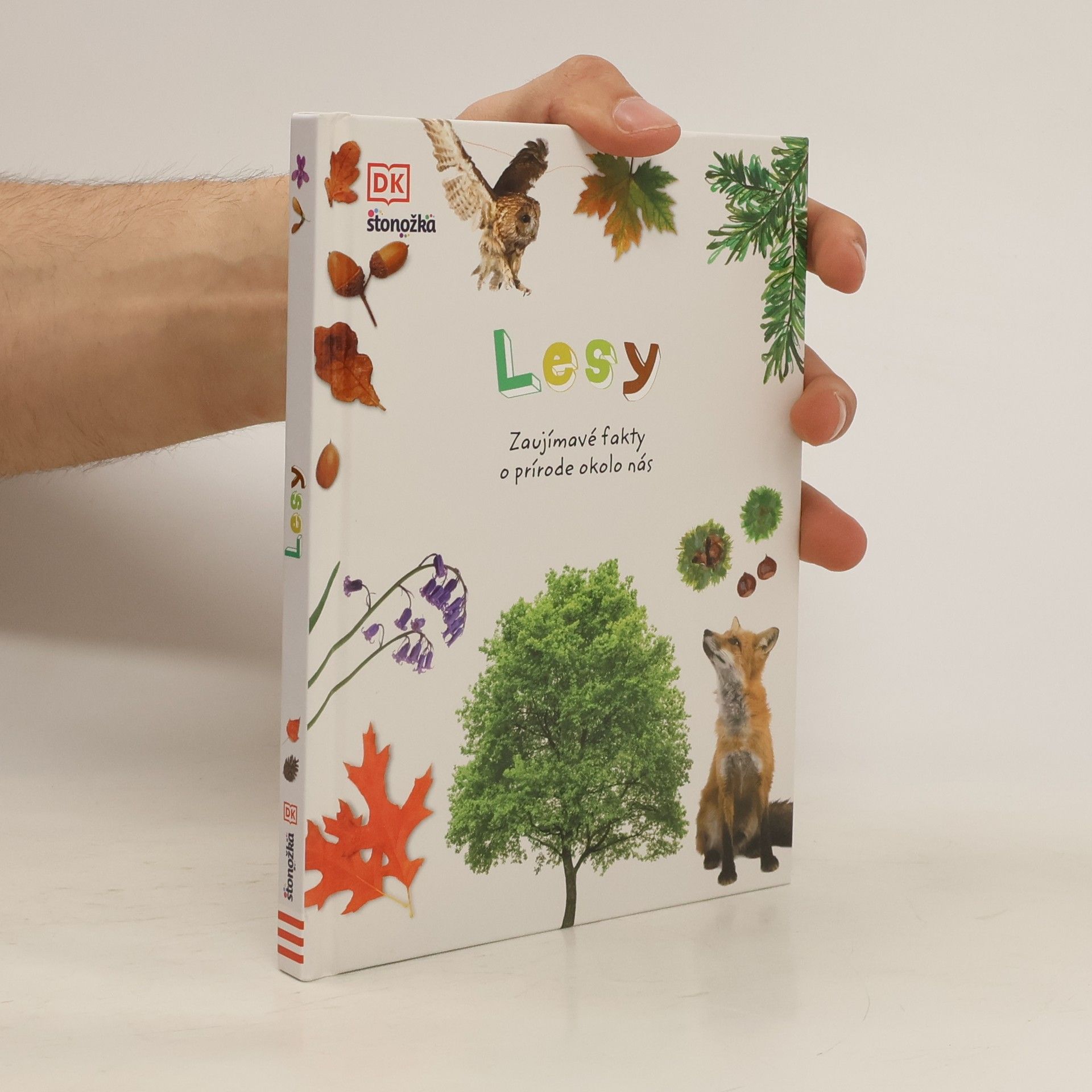 unbekannt Lesy