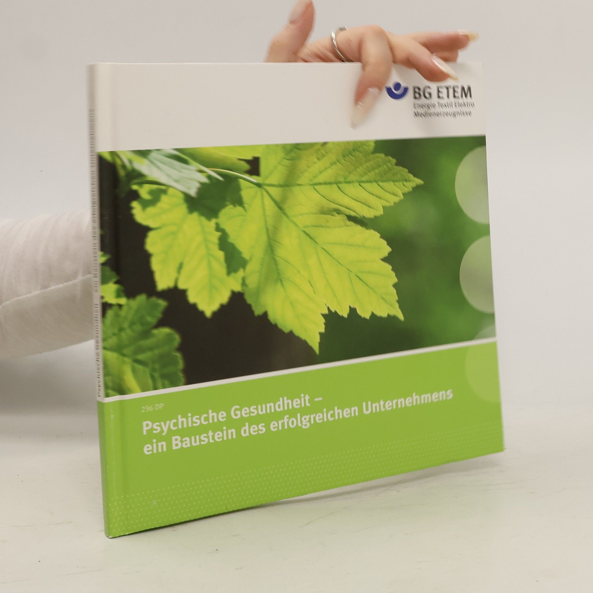 Autorenkollektiv Psychische Gesundheit - ein Baustein des erfolgreichen Unternehmens