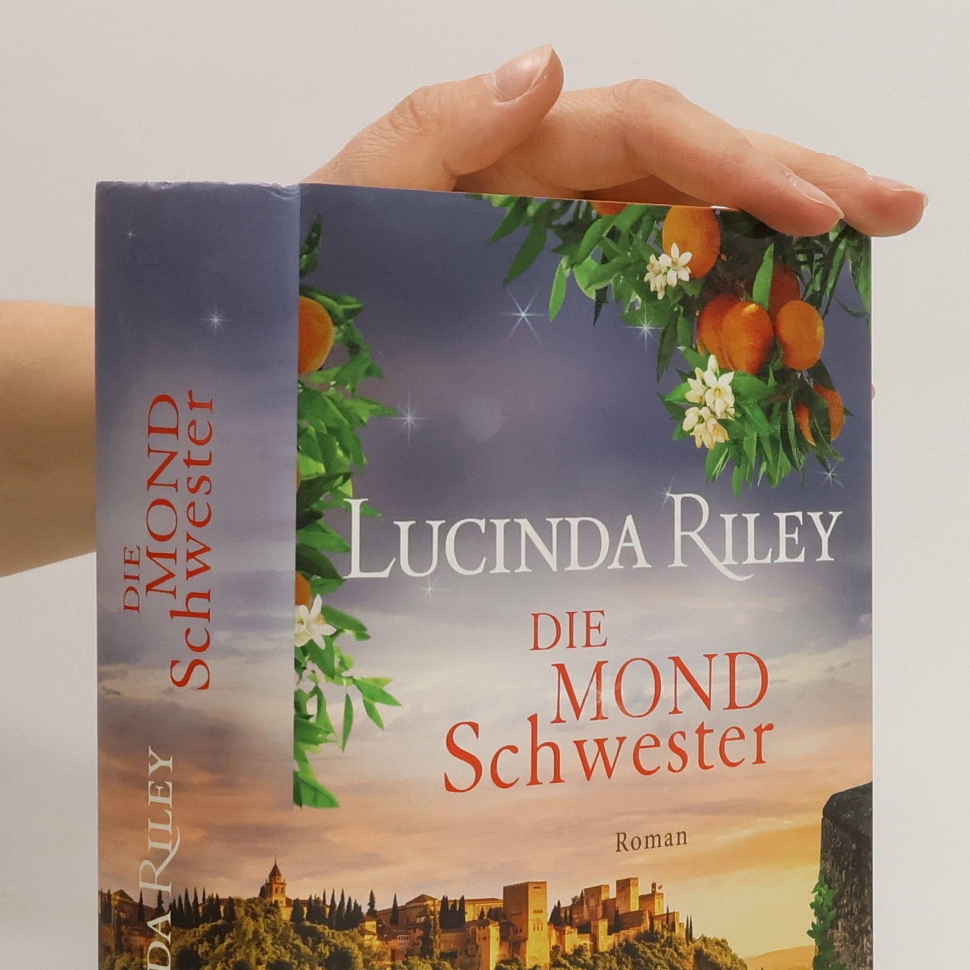 Lucinda Riley Die Mondschwester