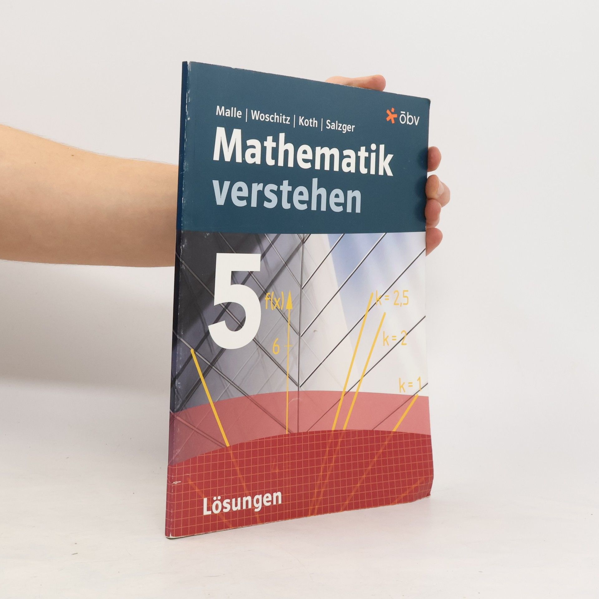Günther Malle Mathematik verstehen 5
