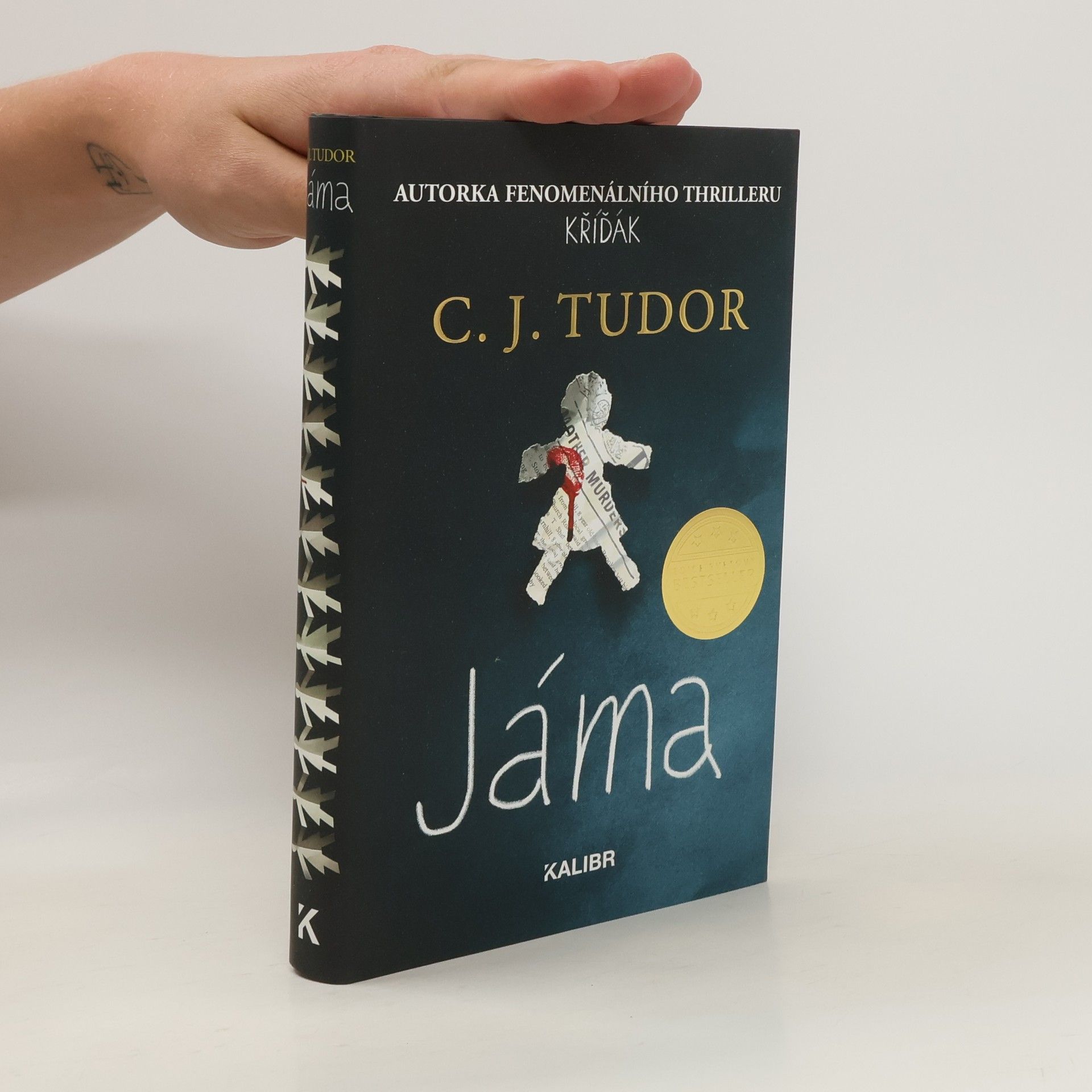 C. J. Tudor Jáma