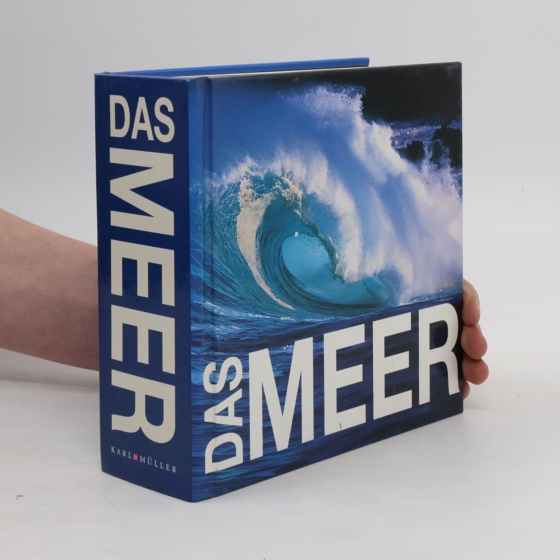 Gaetano Cafiero Das Meer