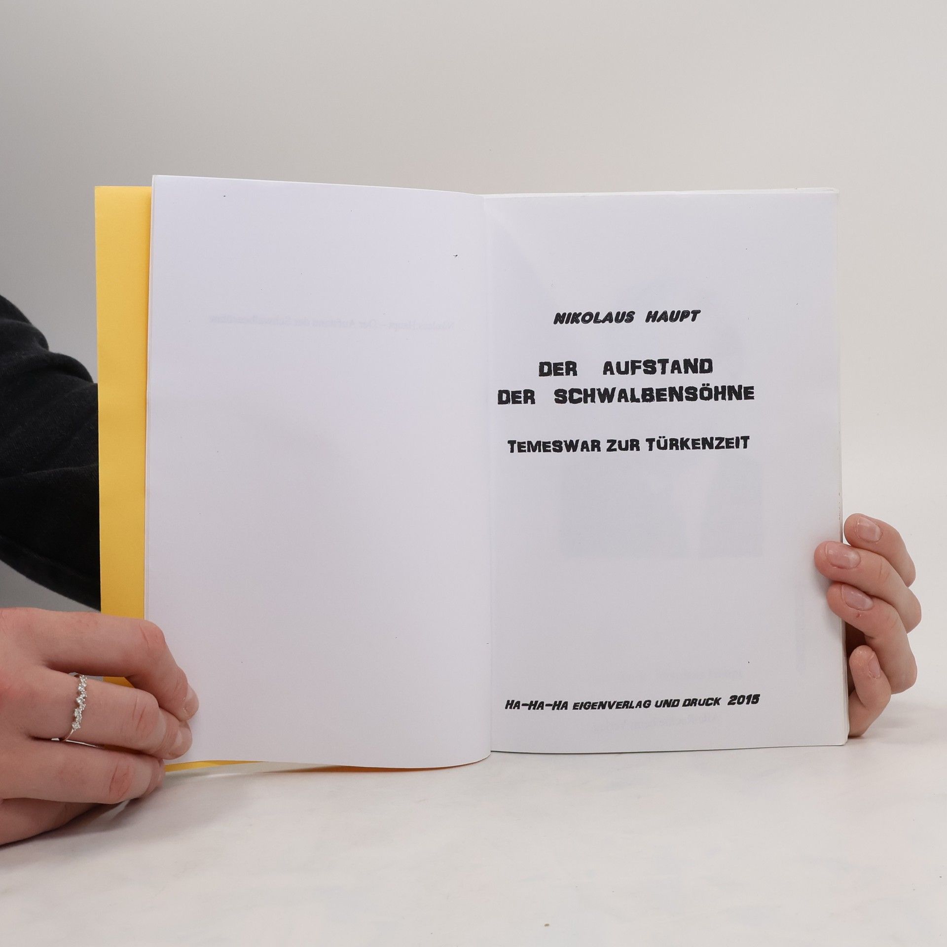 Nikolaus Haupt Der Aufstand. Der Schwalbensohne