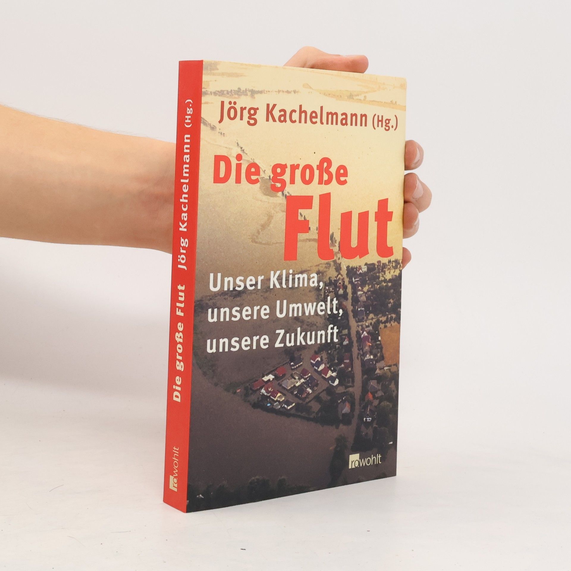 Jörg Kachelmann Die große Flut