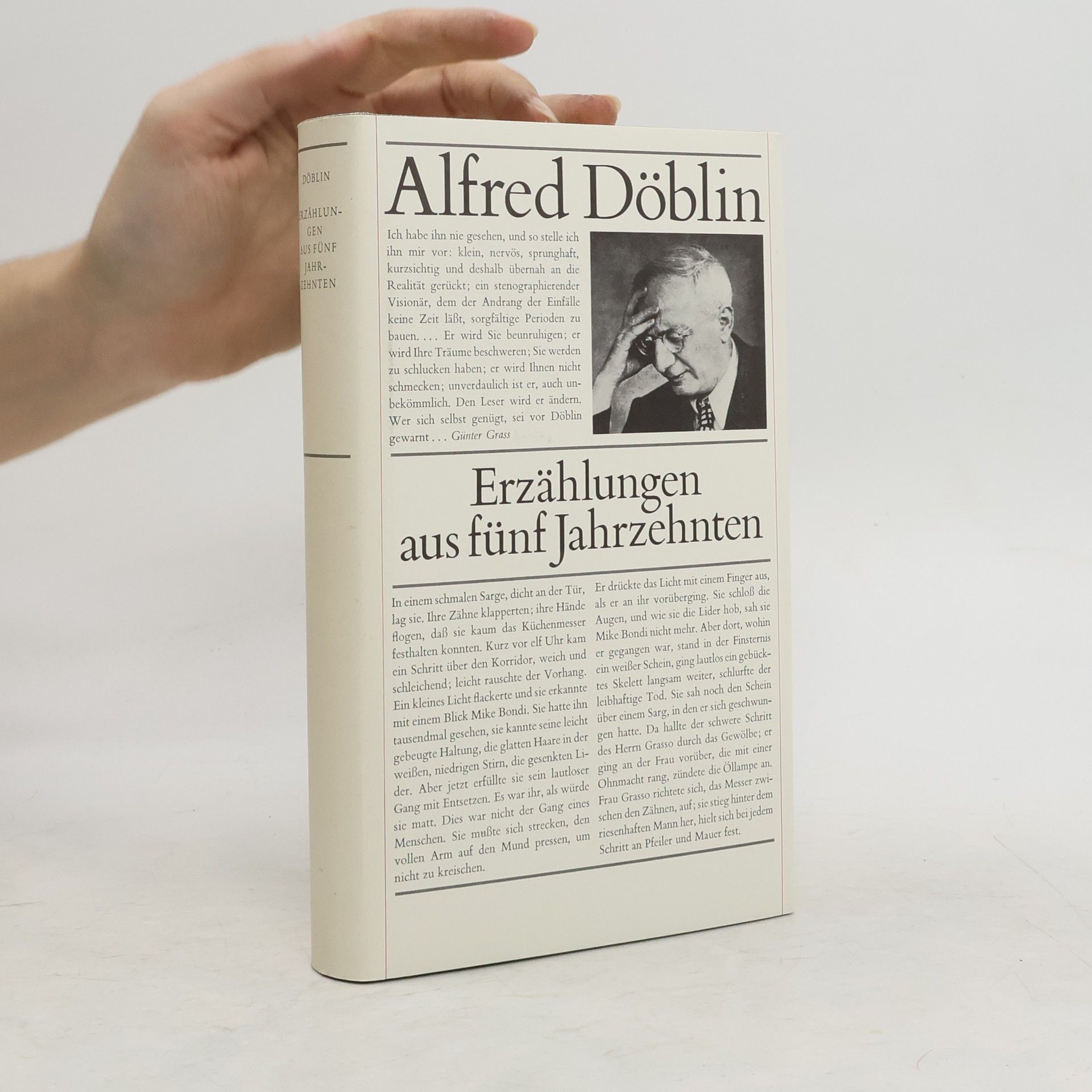 Alfred Döblin Erzählungen aus fünf Jahrzehnten