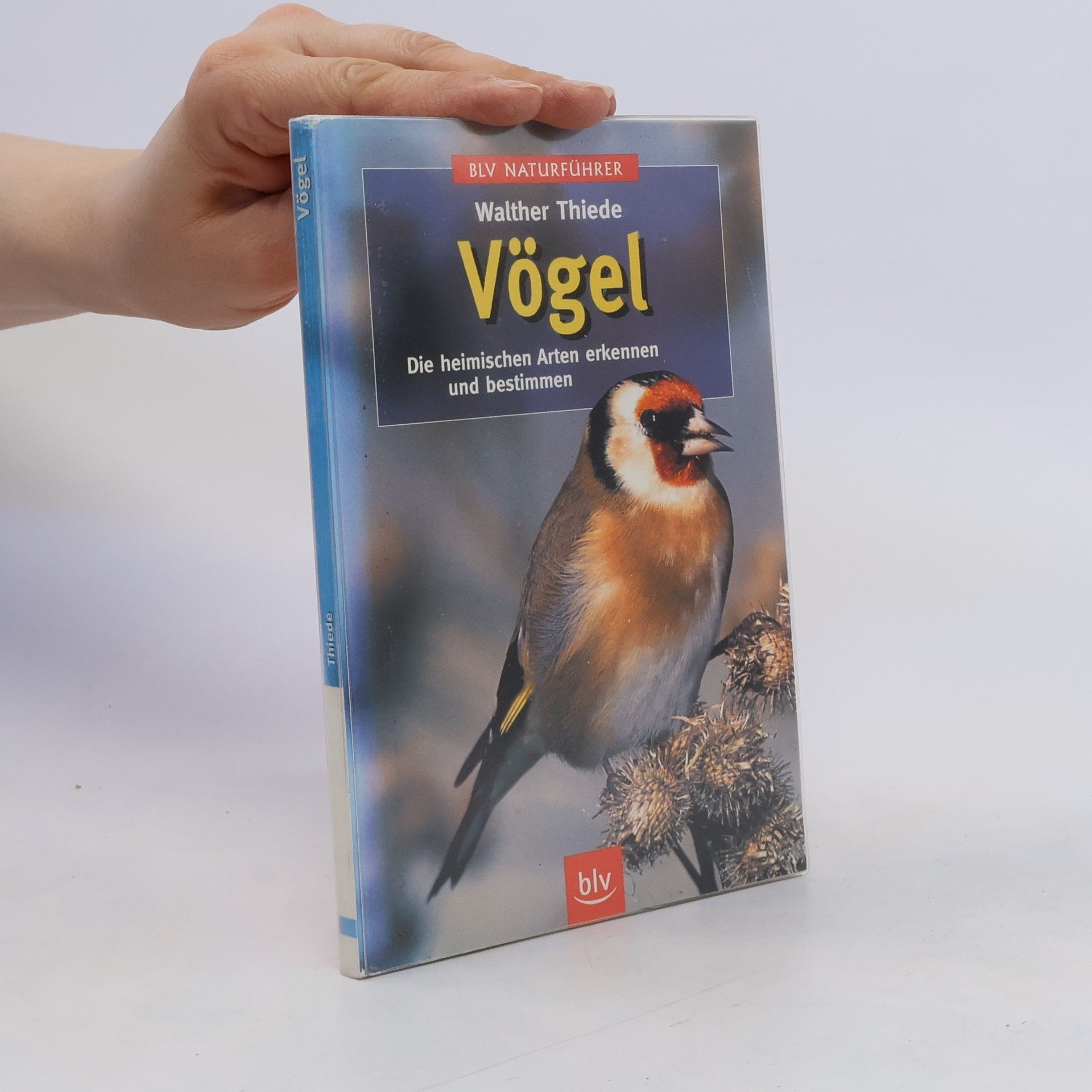 Walther Thiede Vögel