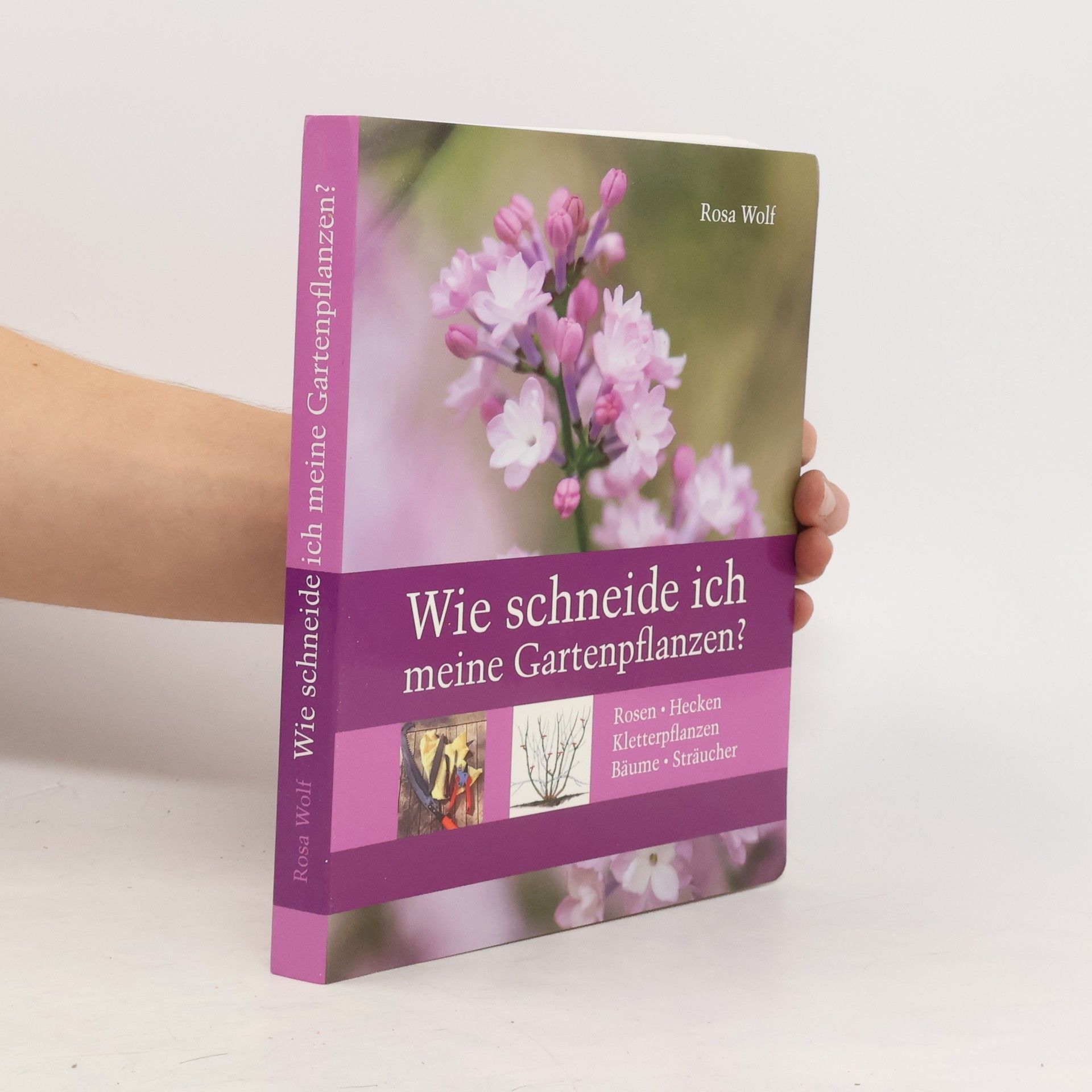 Rosa Wolf Wie schneide ich meine Gartenpflanzen