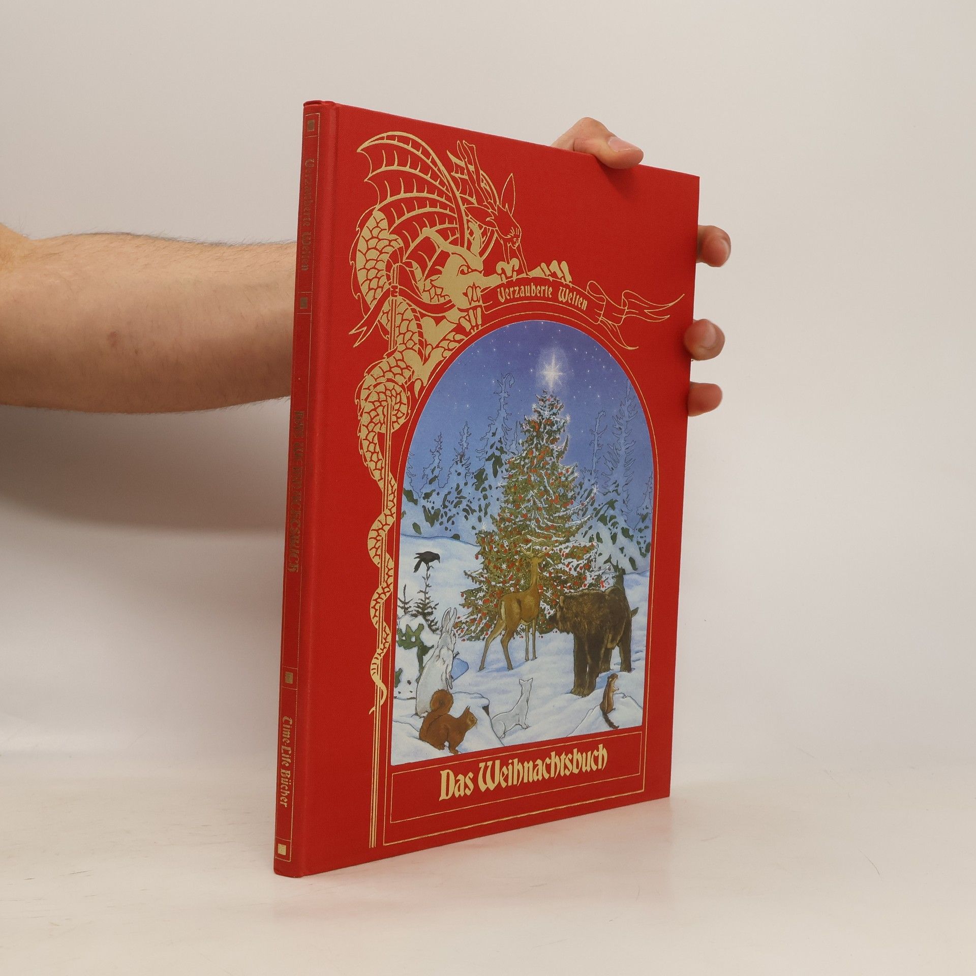 Brendan Lehane Das Weihnachtsbuch