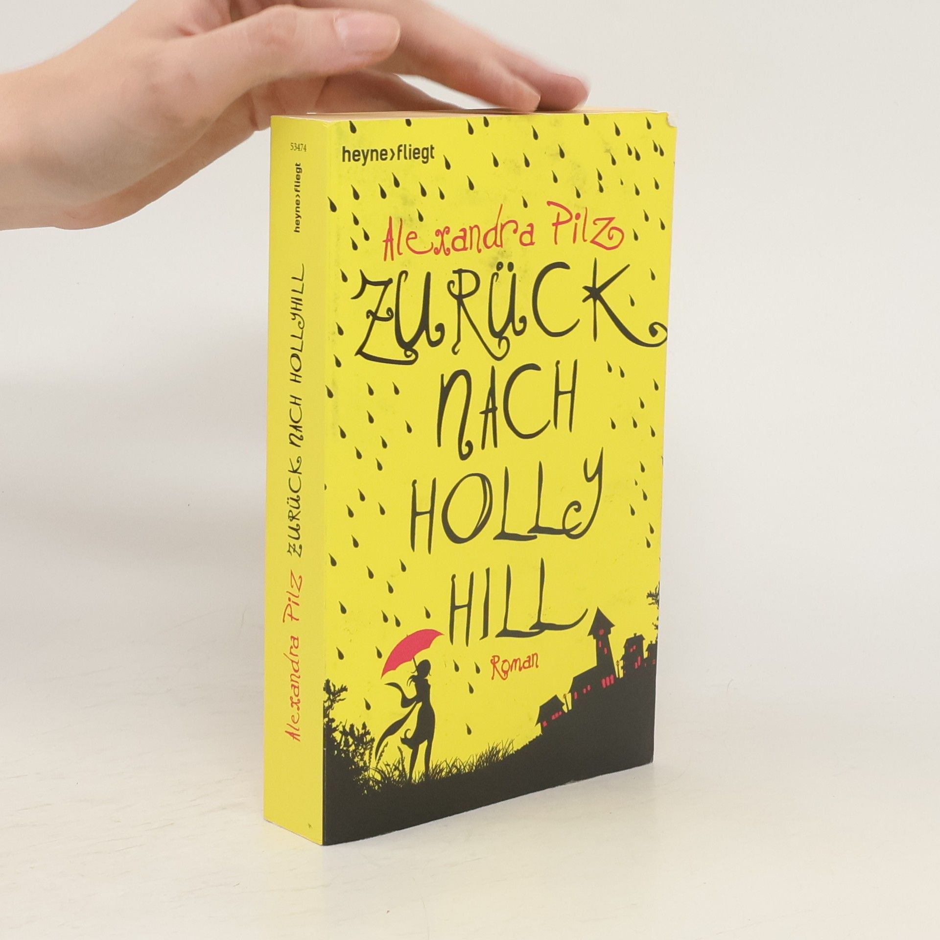 Alexandra Pilz Zurück nach Hollyhill
