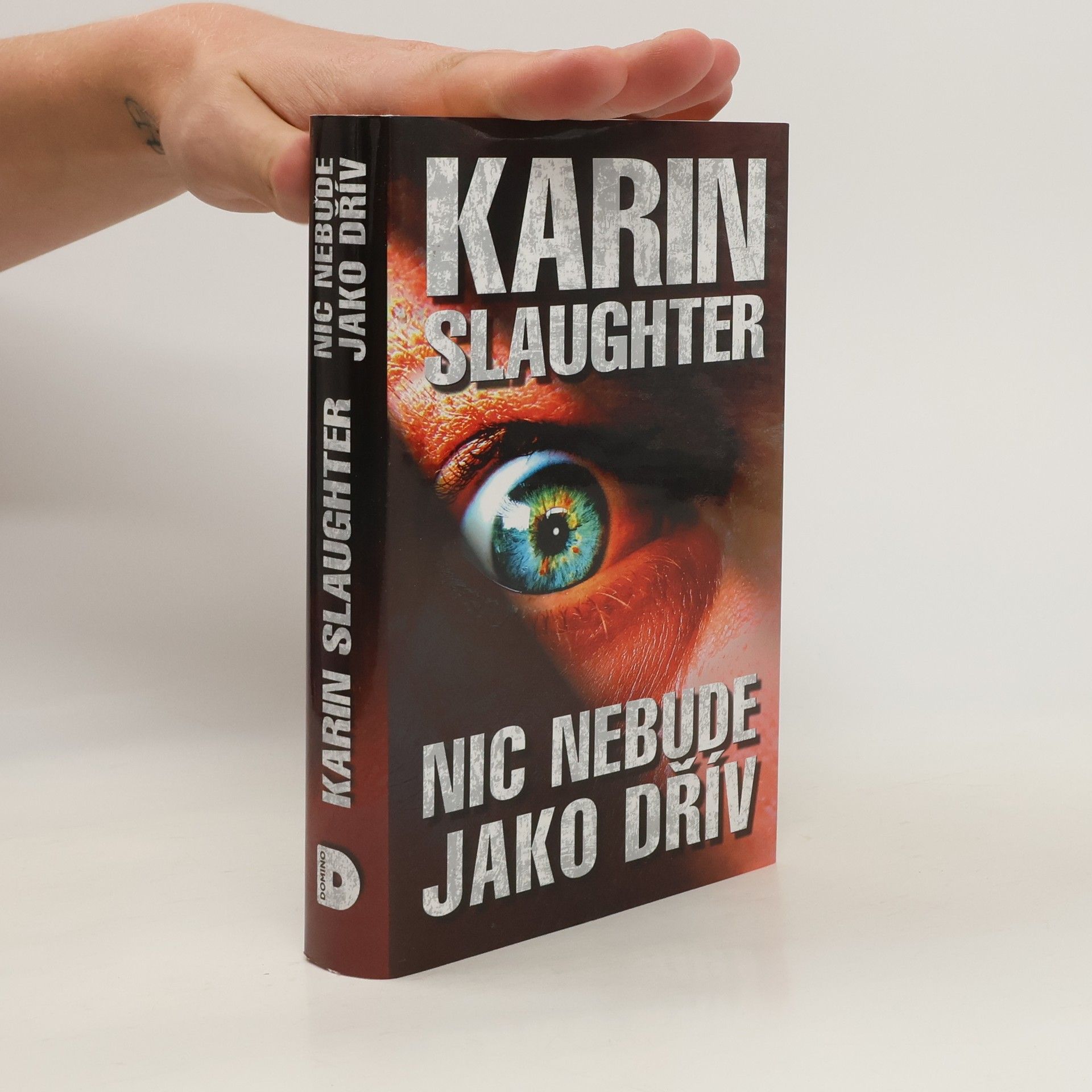 Karin Slaughter Nic nebude jako dřív