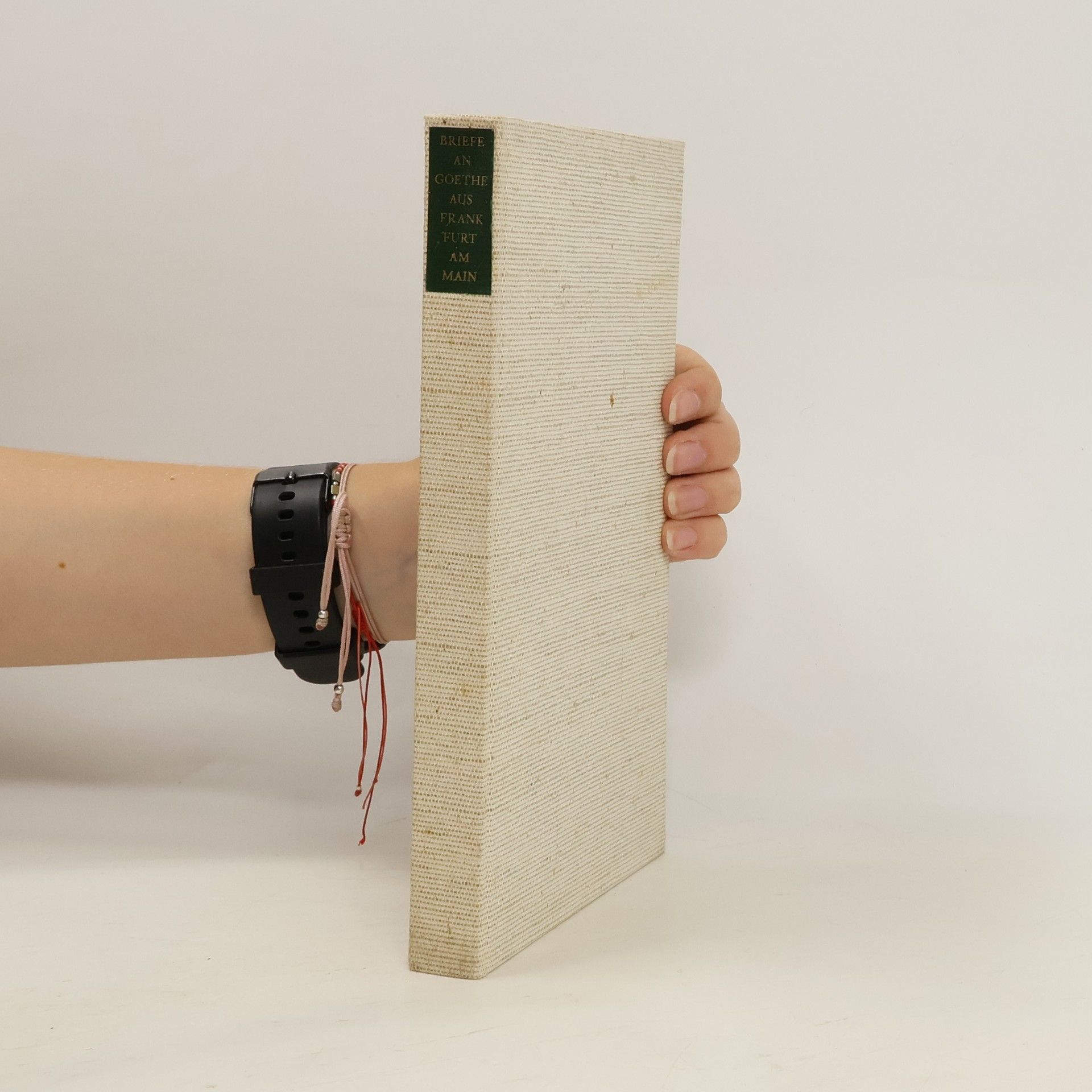 Kolektiv autorů Briefe an Goethe geschrieben aus Frankfurt am main