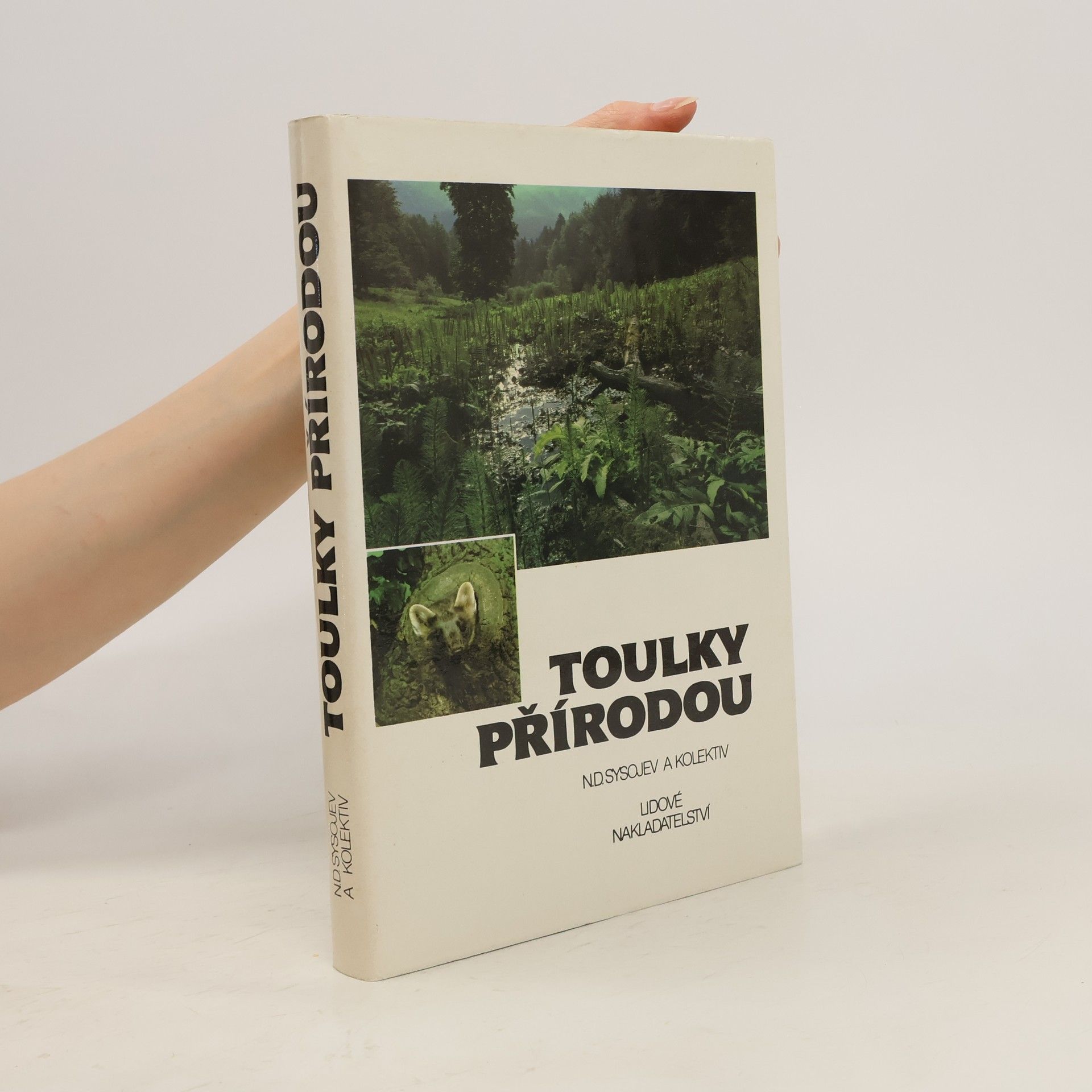 N. D. Sysojev Toulky přírodou