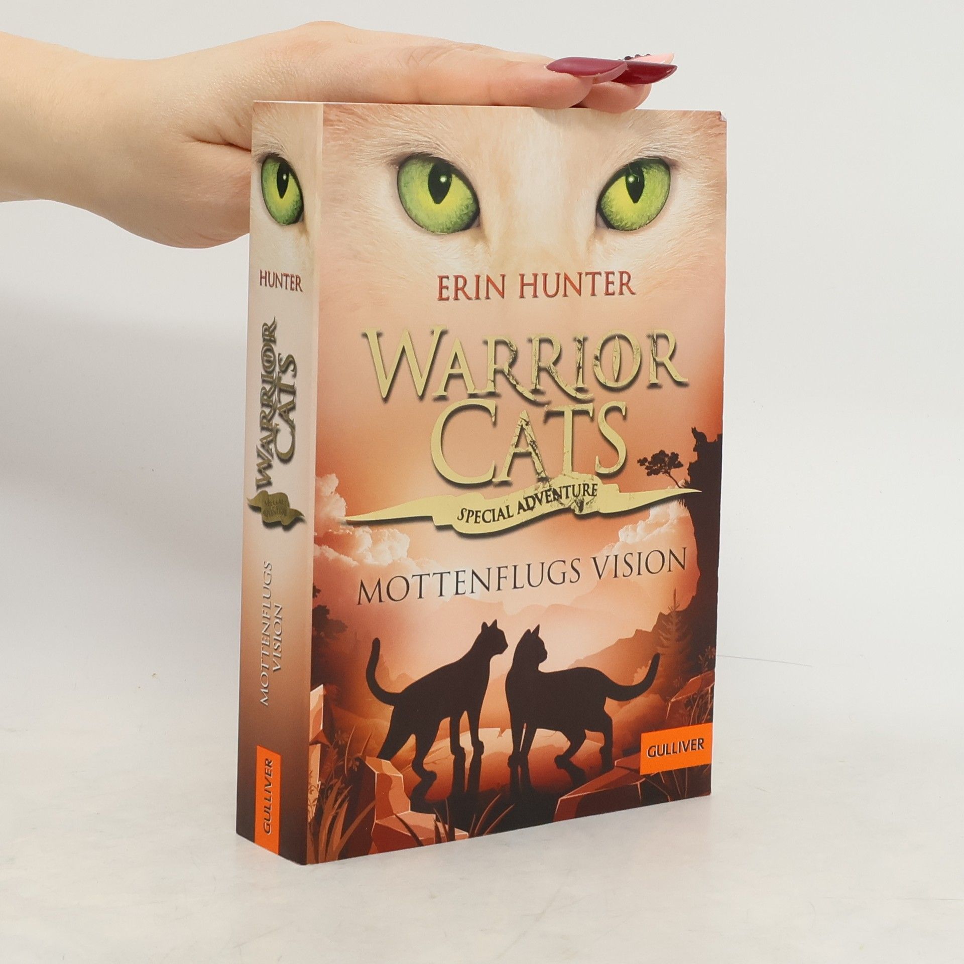 Erin Hunter Warrior Cats - Special Adventure. Mottenflugs Vision