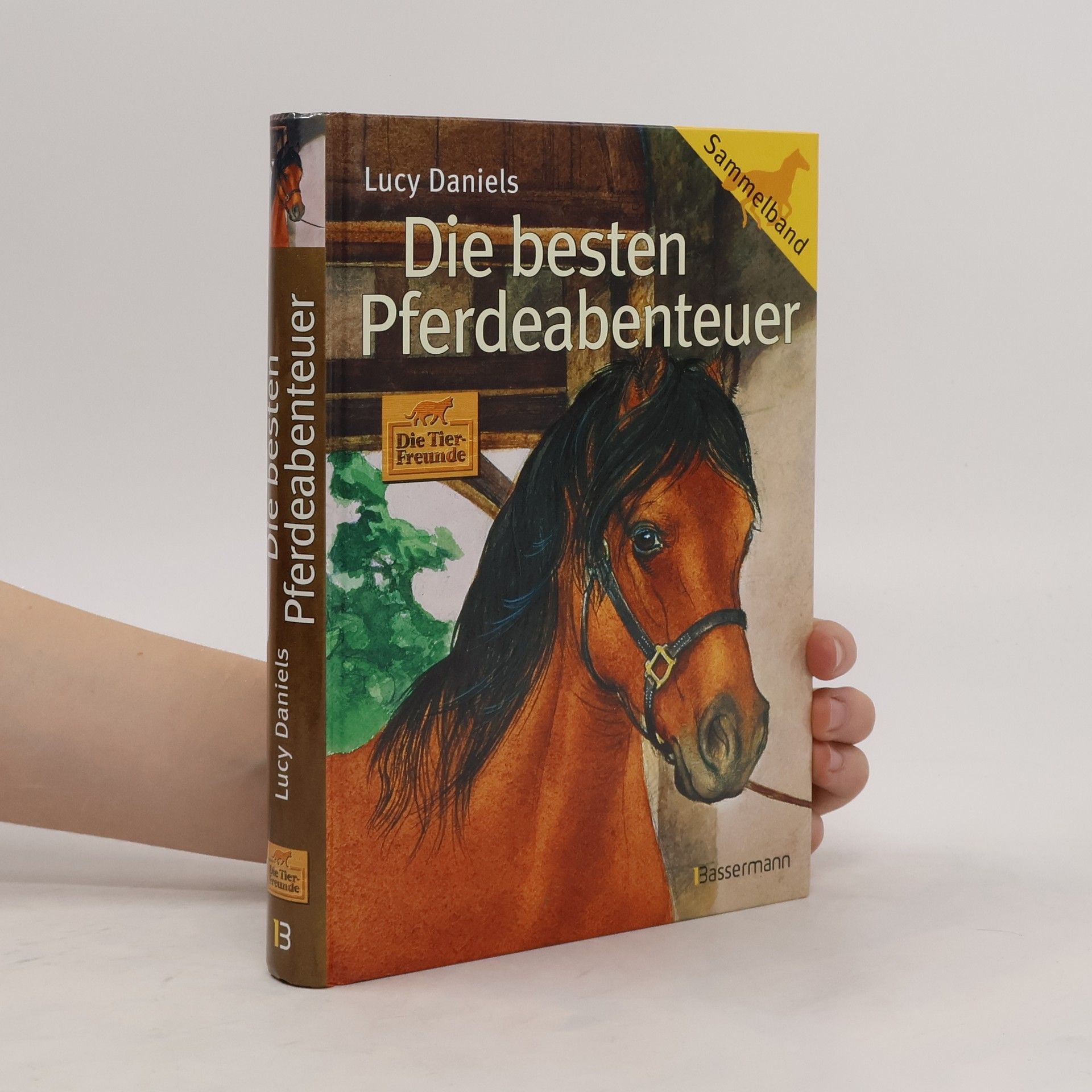 Lucy Daniels Die besten Pferdeabenteuer