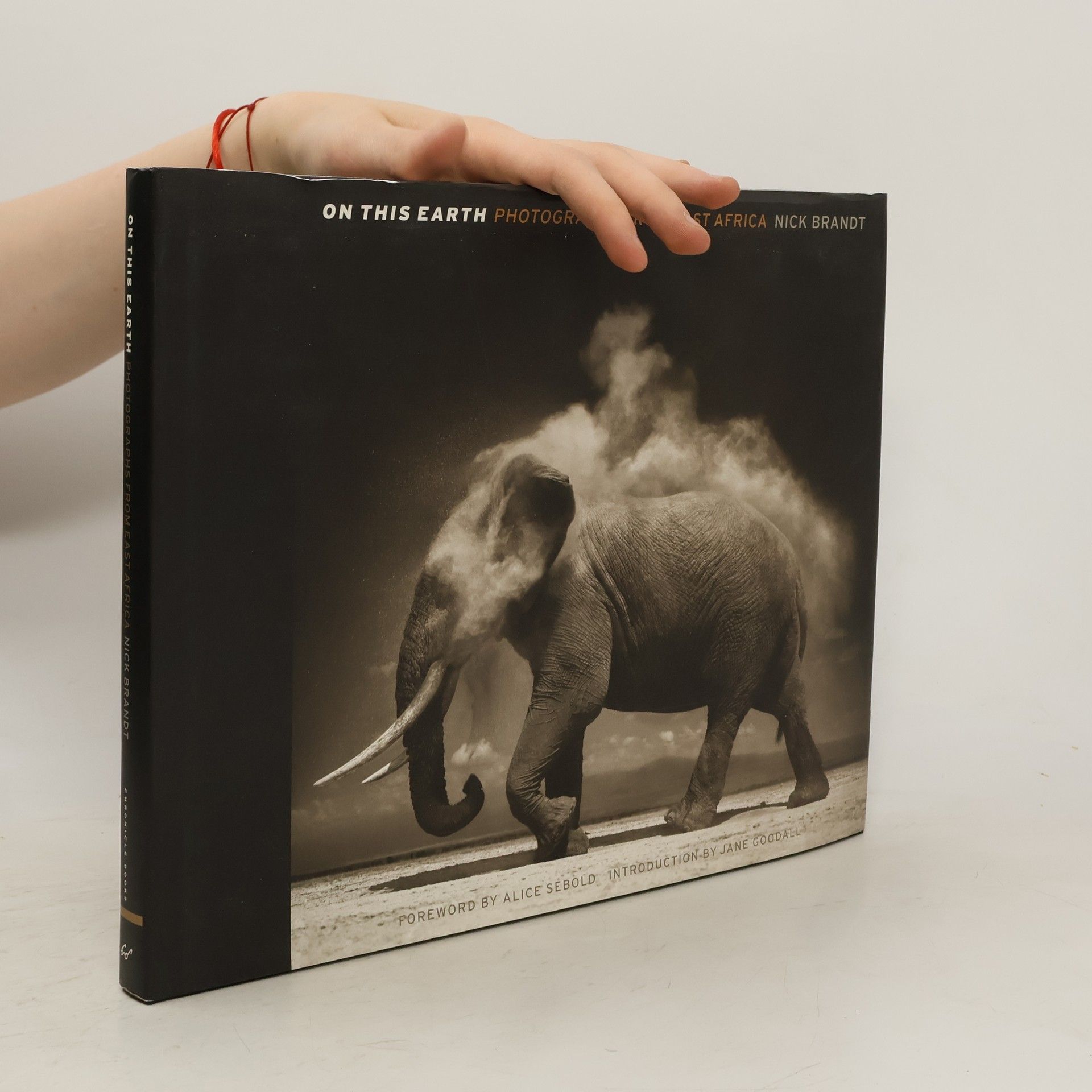 Nick Brandt On This Earth