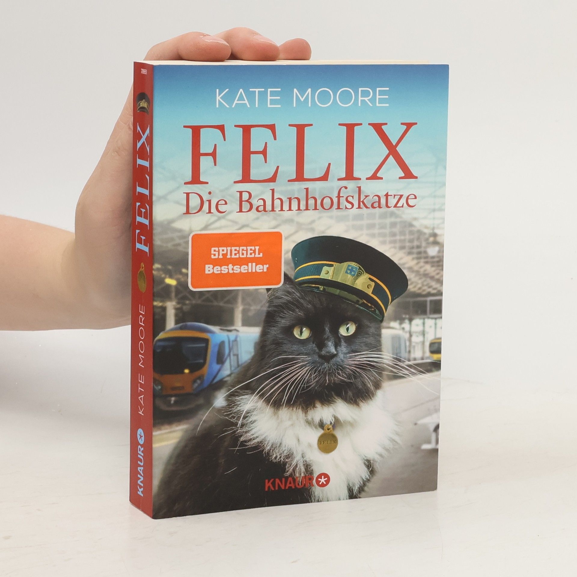 Kate Moore Felix - die Bahnhofskatze