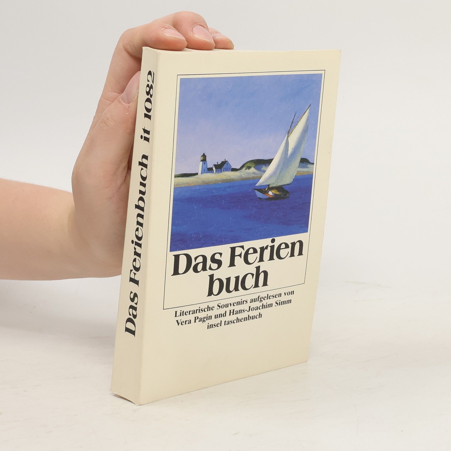 Vera Pagin Das Ferienbuch