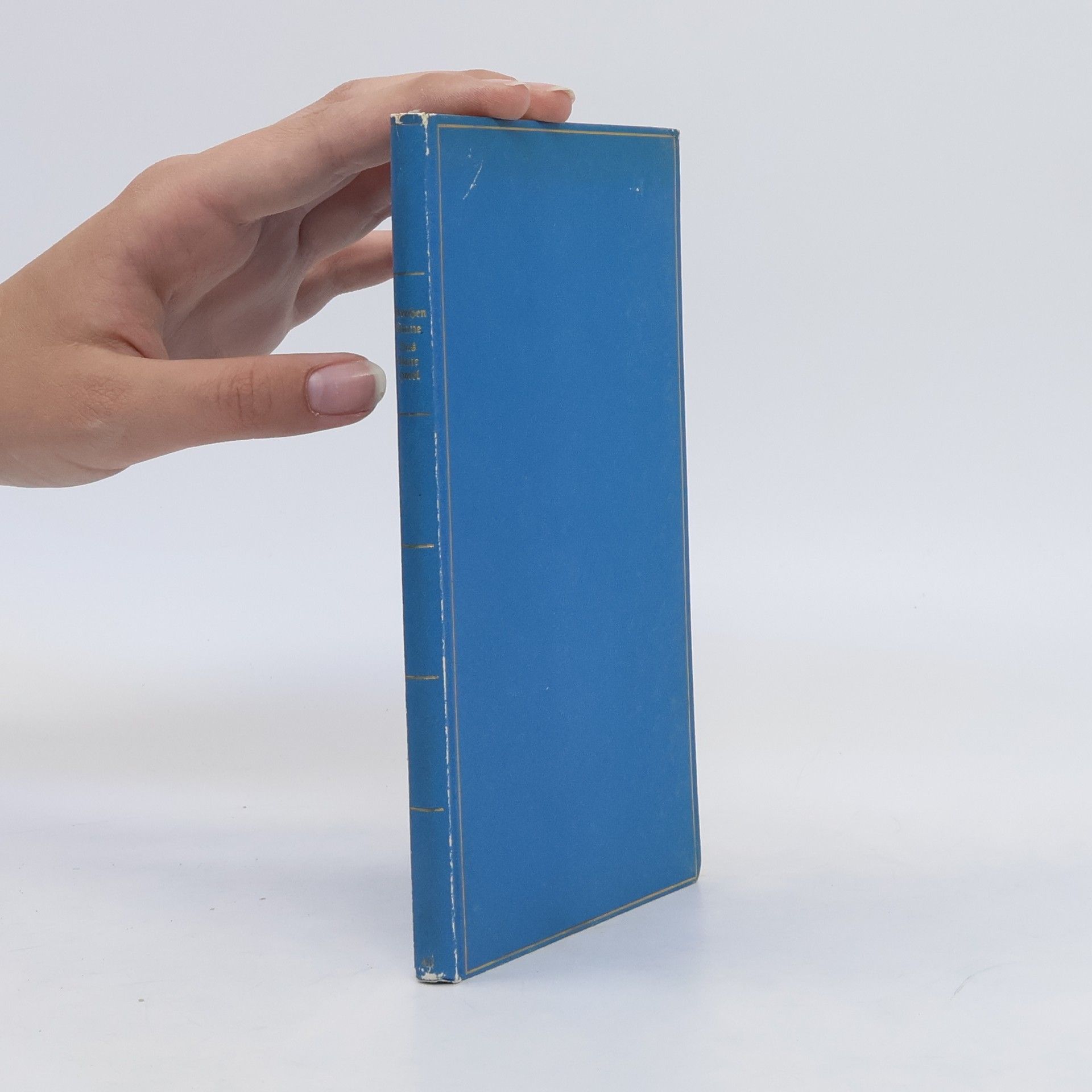 Stephen Crane Das Blaue Hotel
