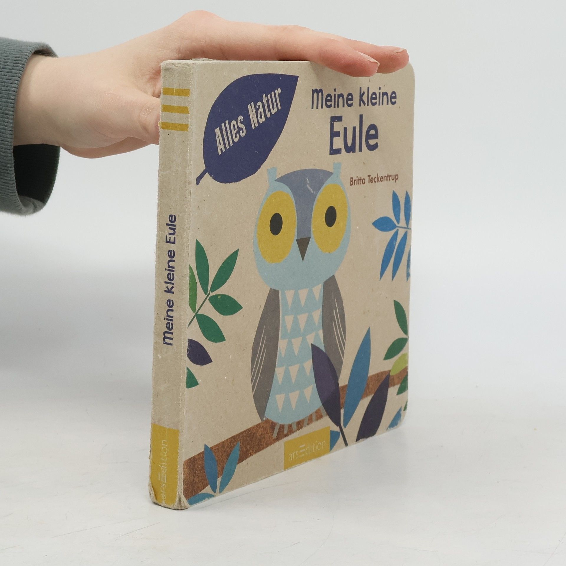 Britta Teckentrup Meine kleine Eule