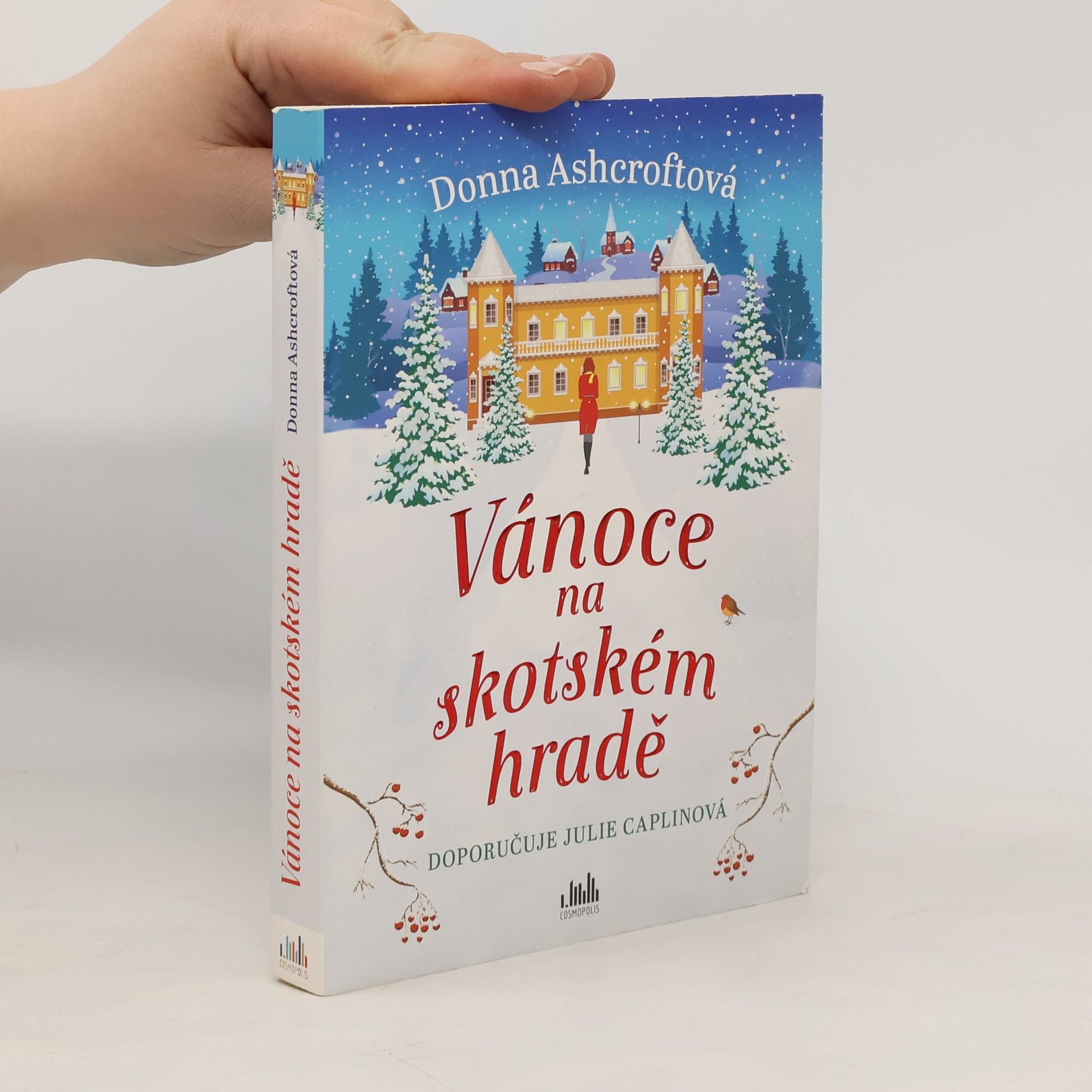 Donna Ashcroft Vánoce na skotském hradě