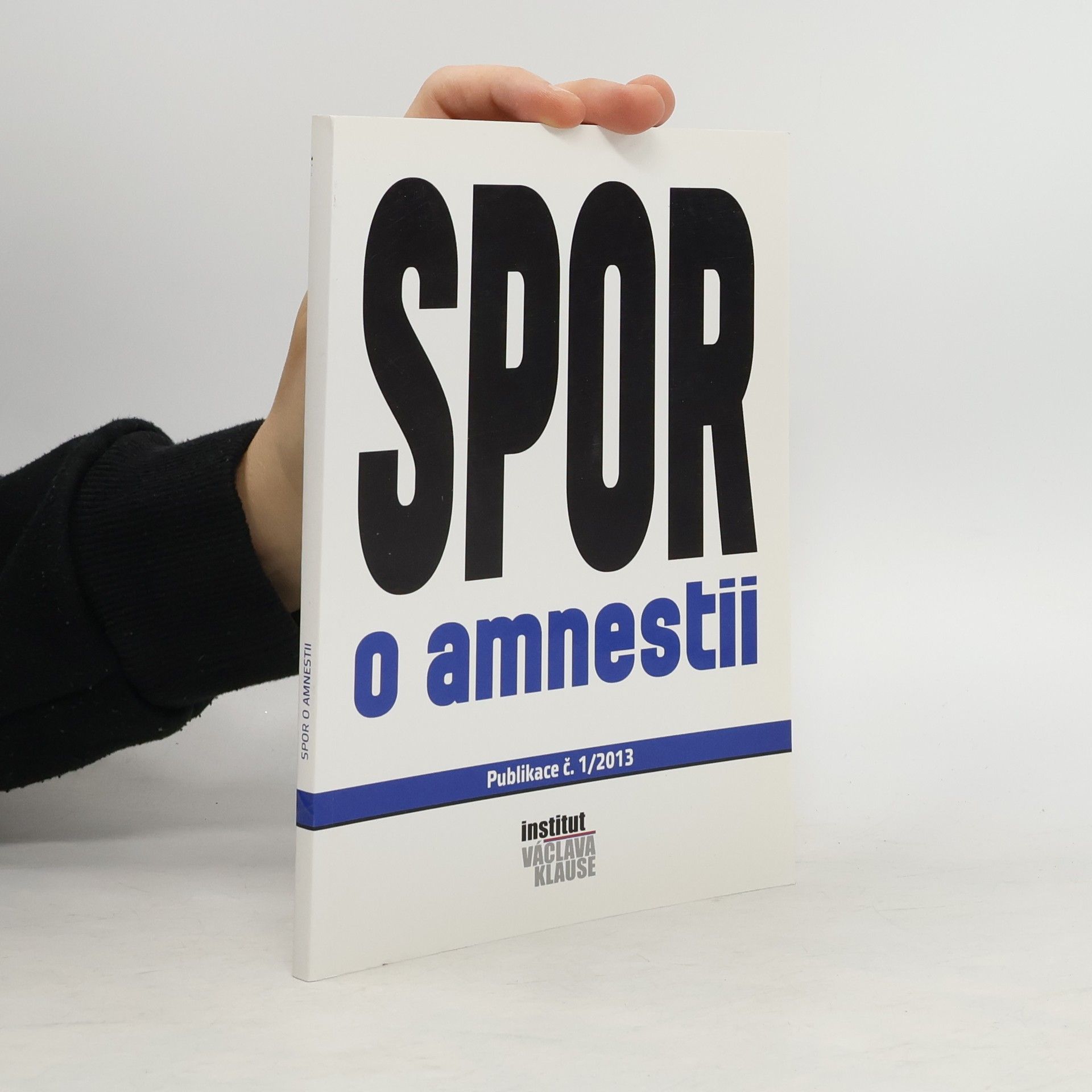 Marek Loužek Spor o amnestii