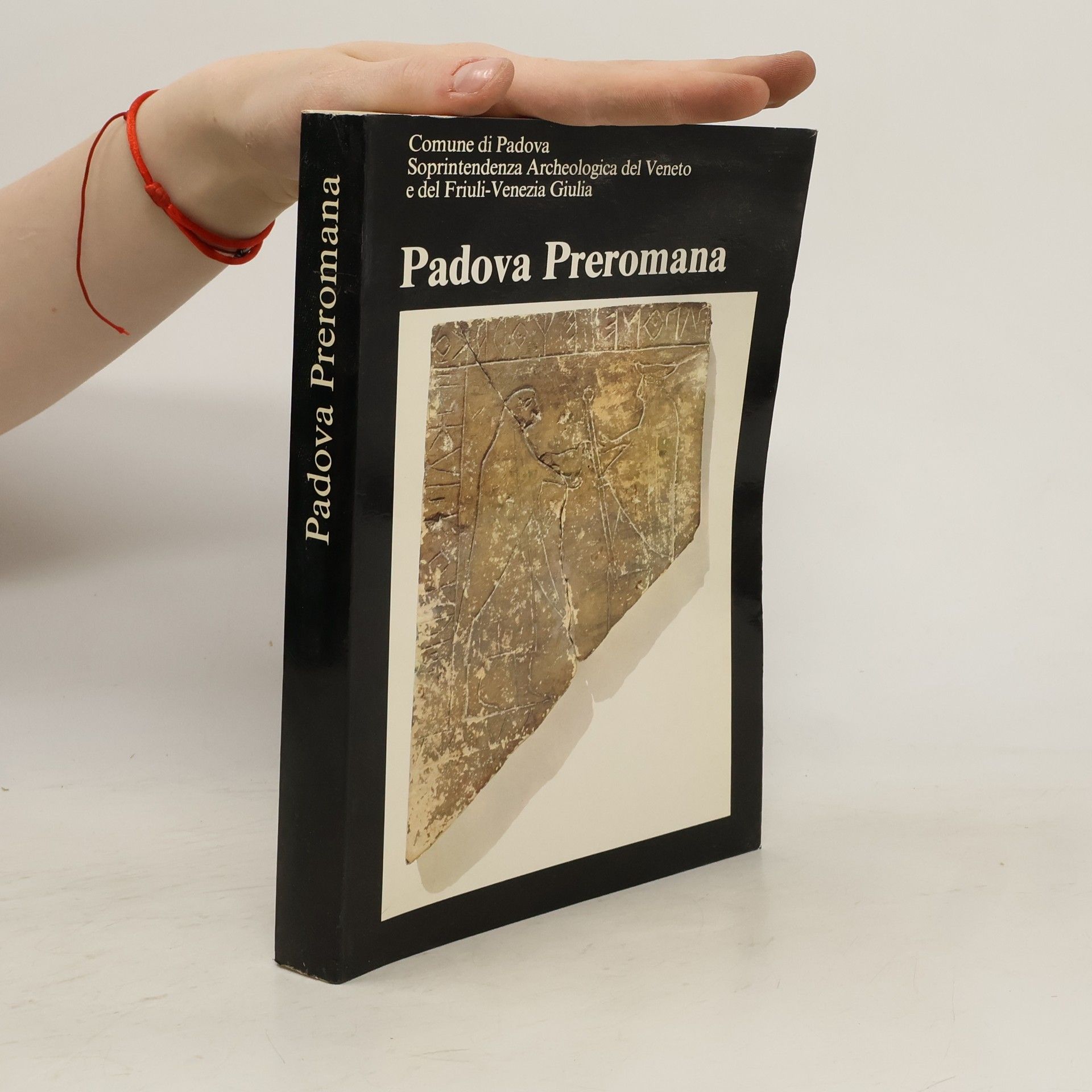 Collectif d'auteurs Padova Preromana