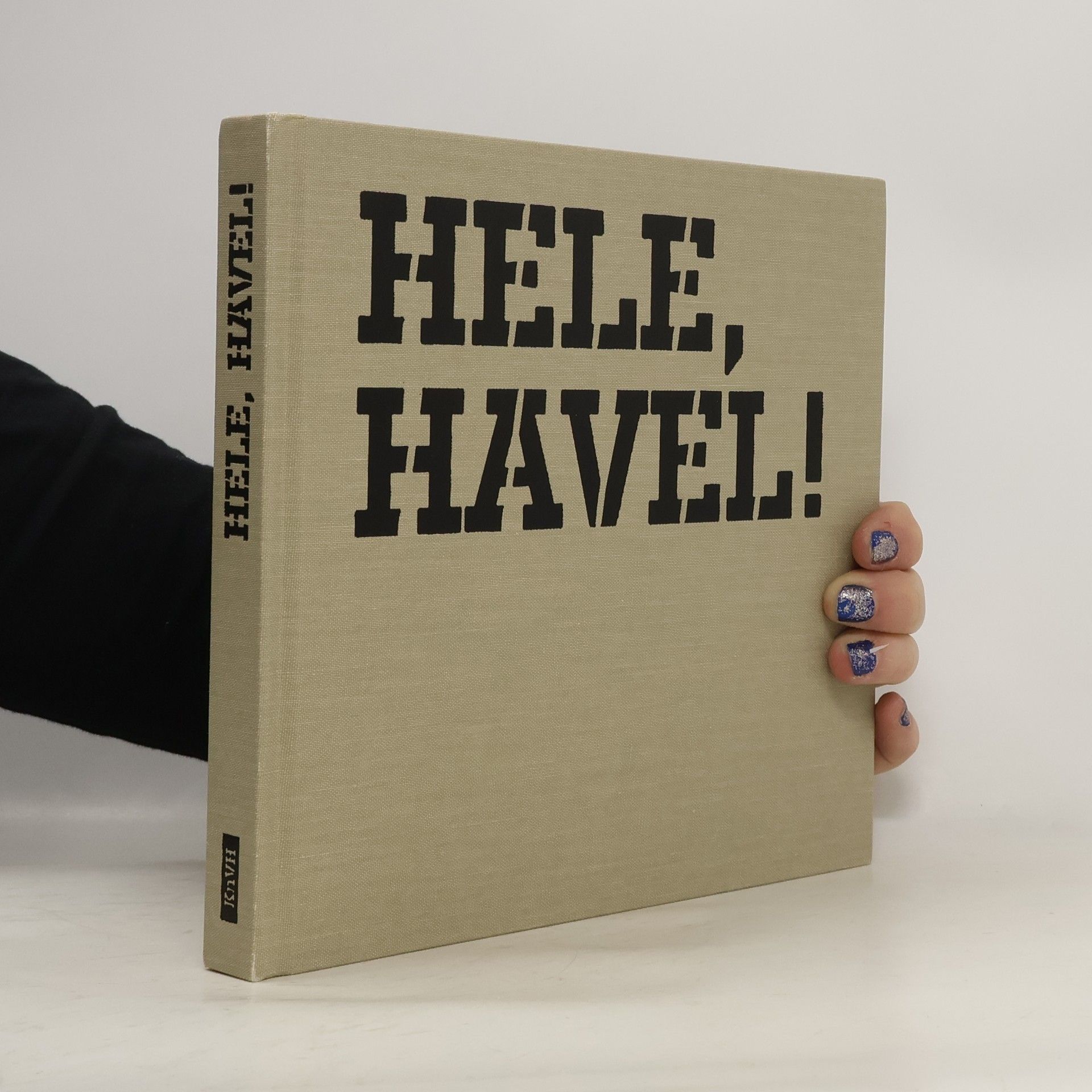 Autorenkollektiv Hele, Havel! Václav Havel v domácích albech