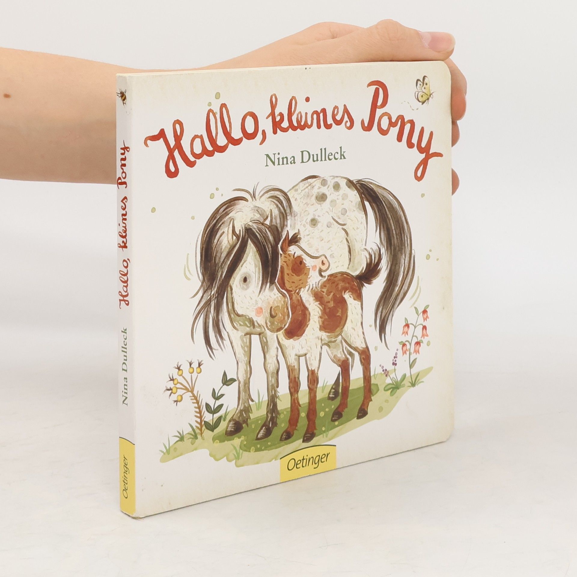 Nina Dulleck Hallo, kleines Pony!