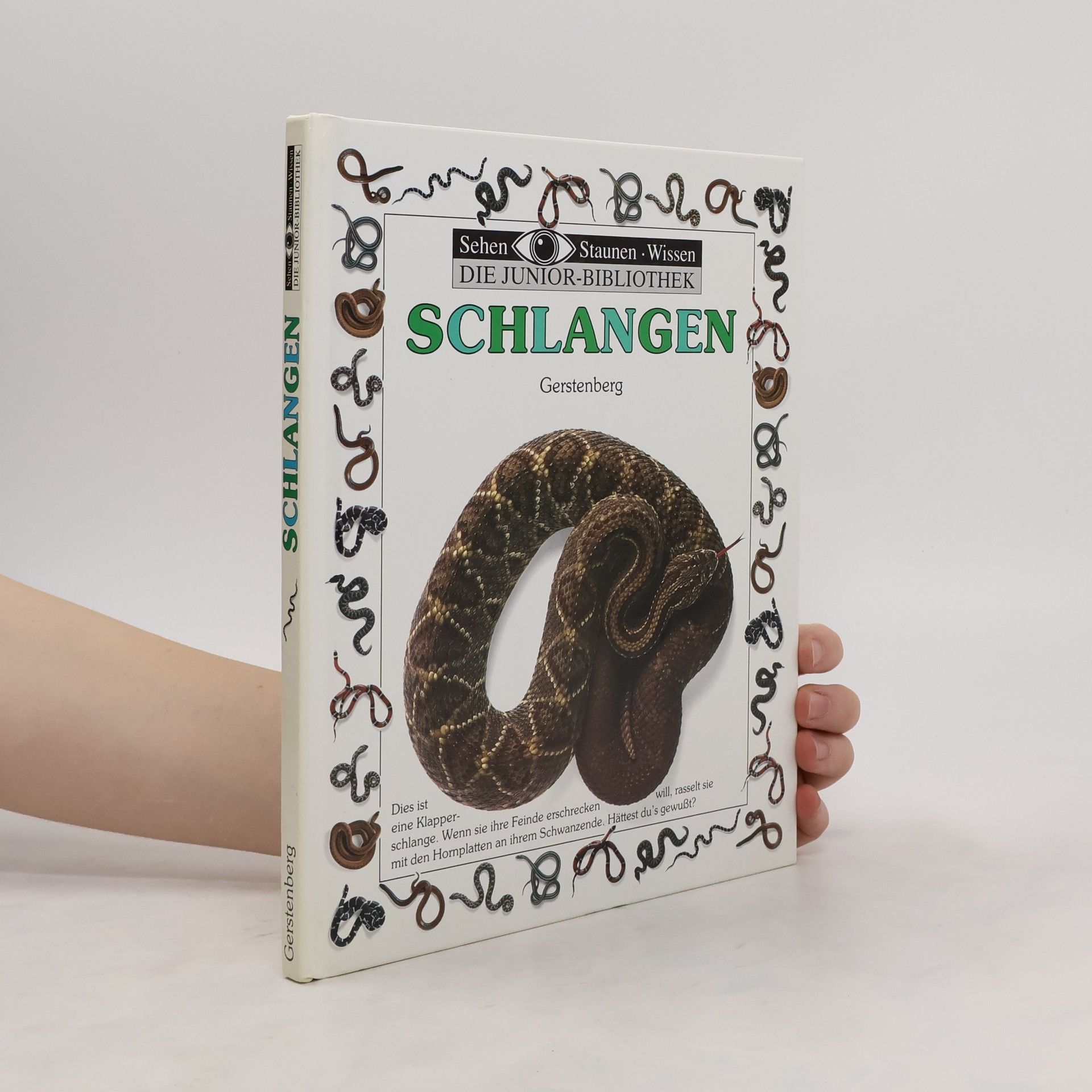 Alexandra Parsons Schlangen
