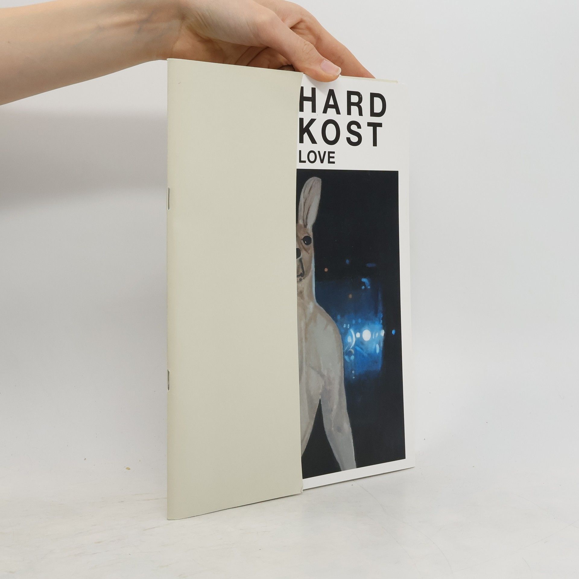 Eberhard Havekost U Say Love