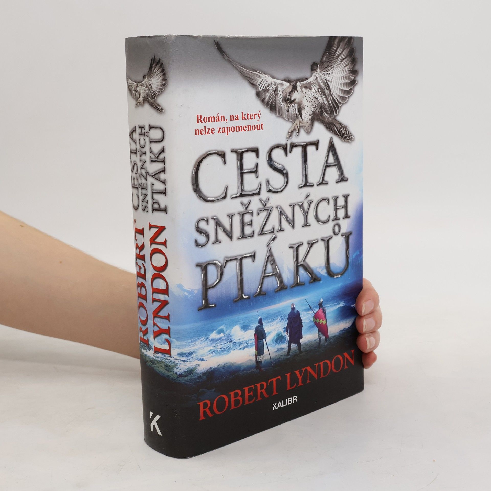 Robert Lyndon Cesta sněžných ptáků