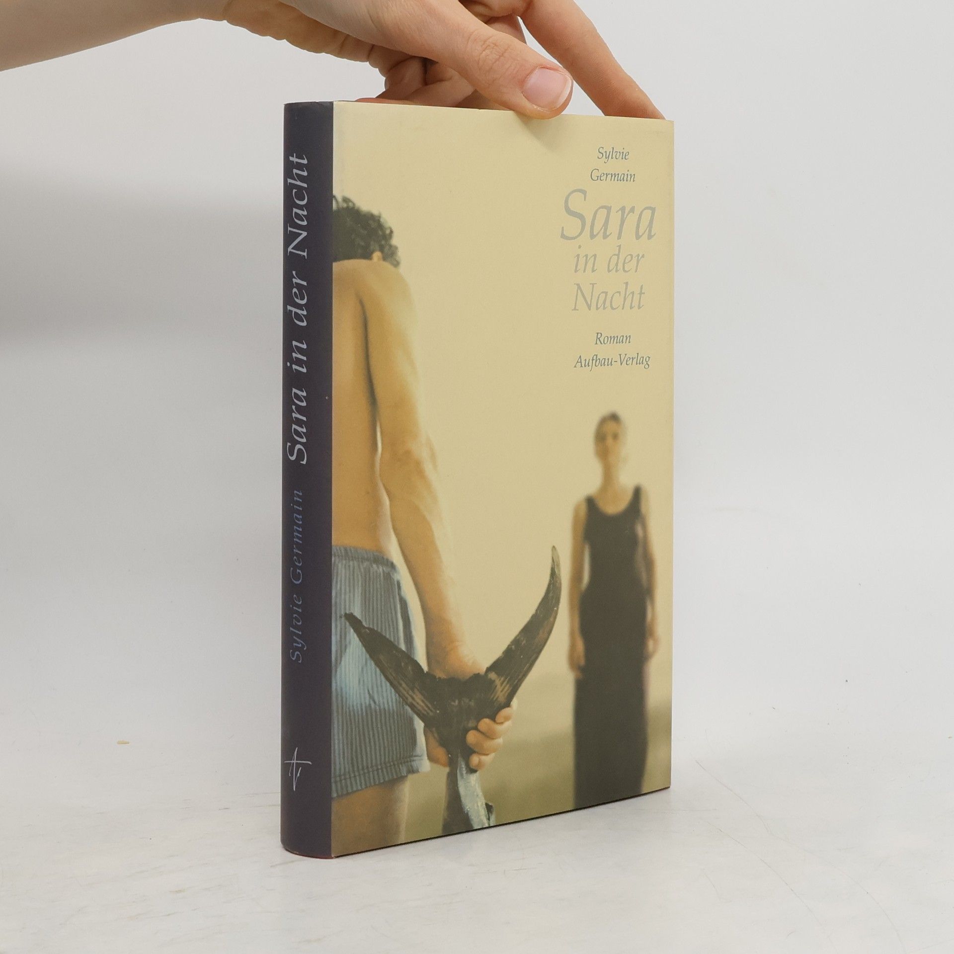 Sylvie Germain Sara in der Nacht