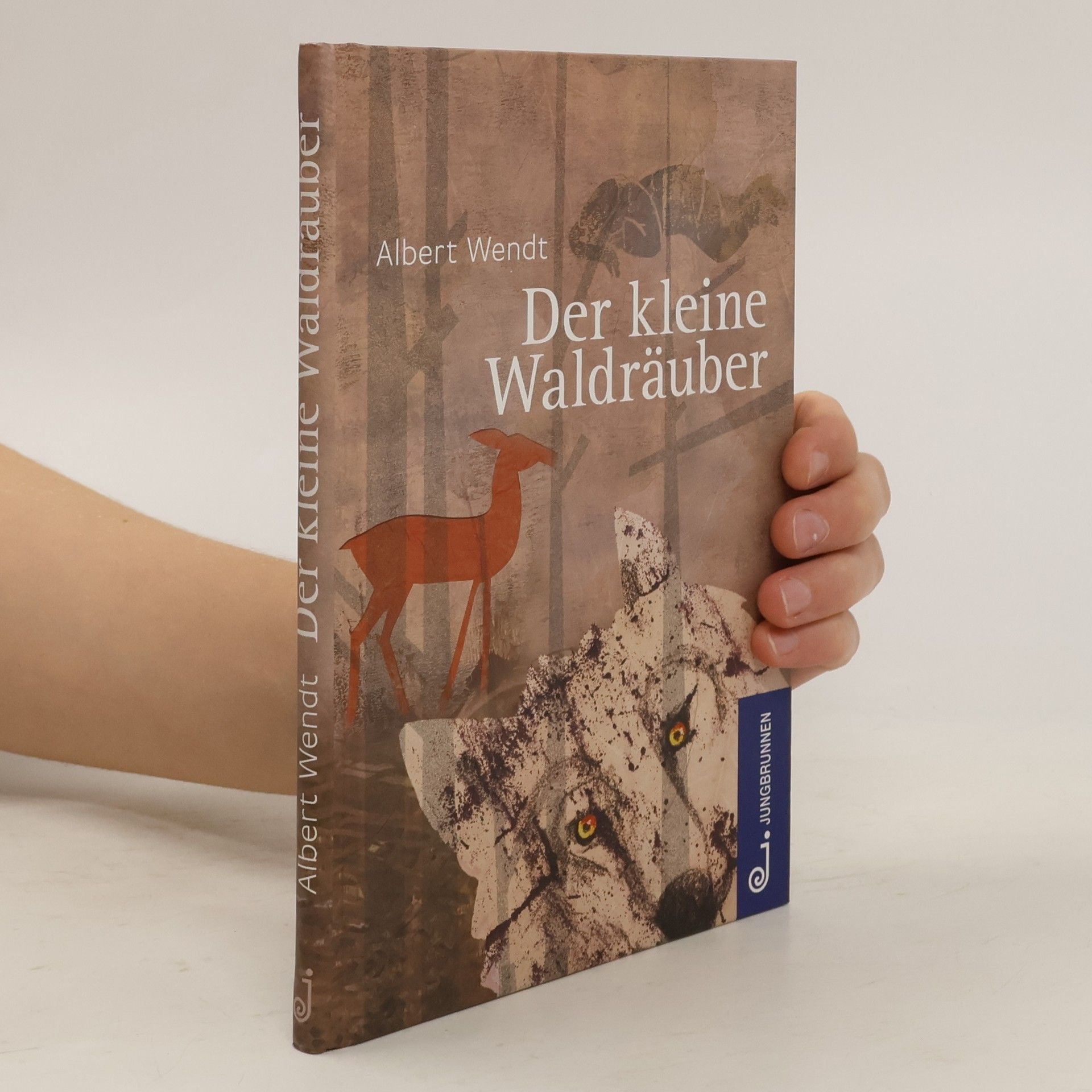 Albert Wendt Der kleine Waldräuber