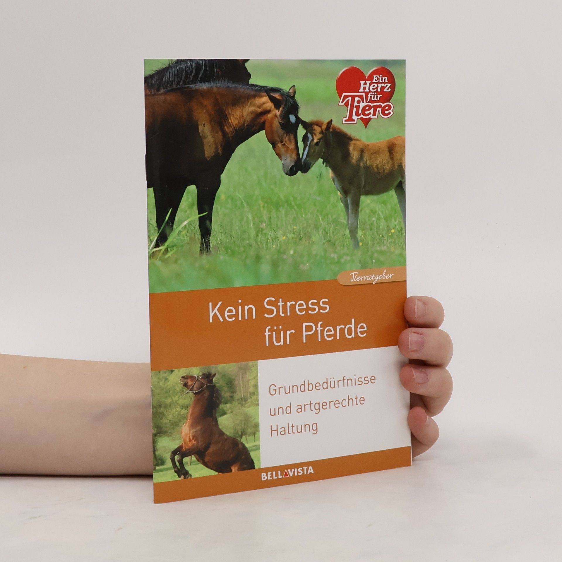 Autorenkollektiv Kein Stress für Pferde
