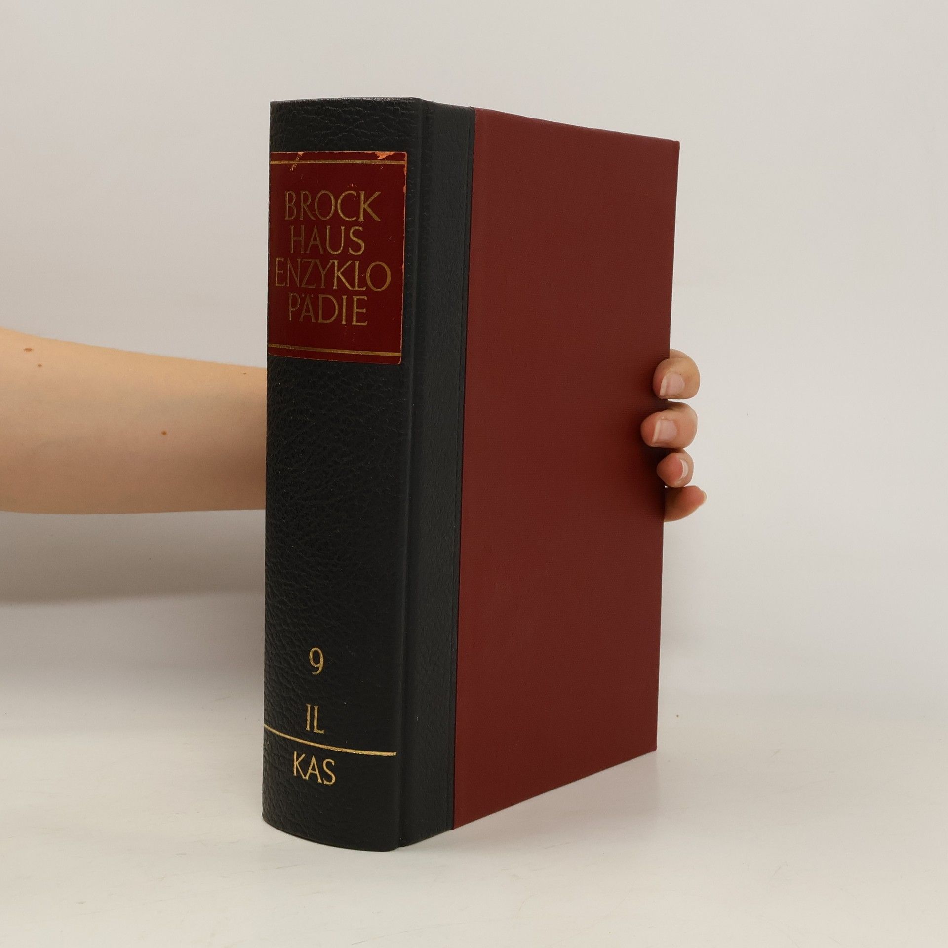Autores varios Brockhaus Enzyklopädie 9. IL-KAS