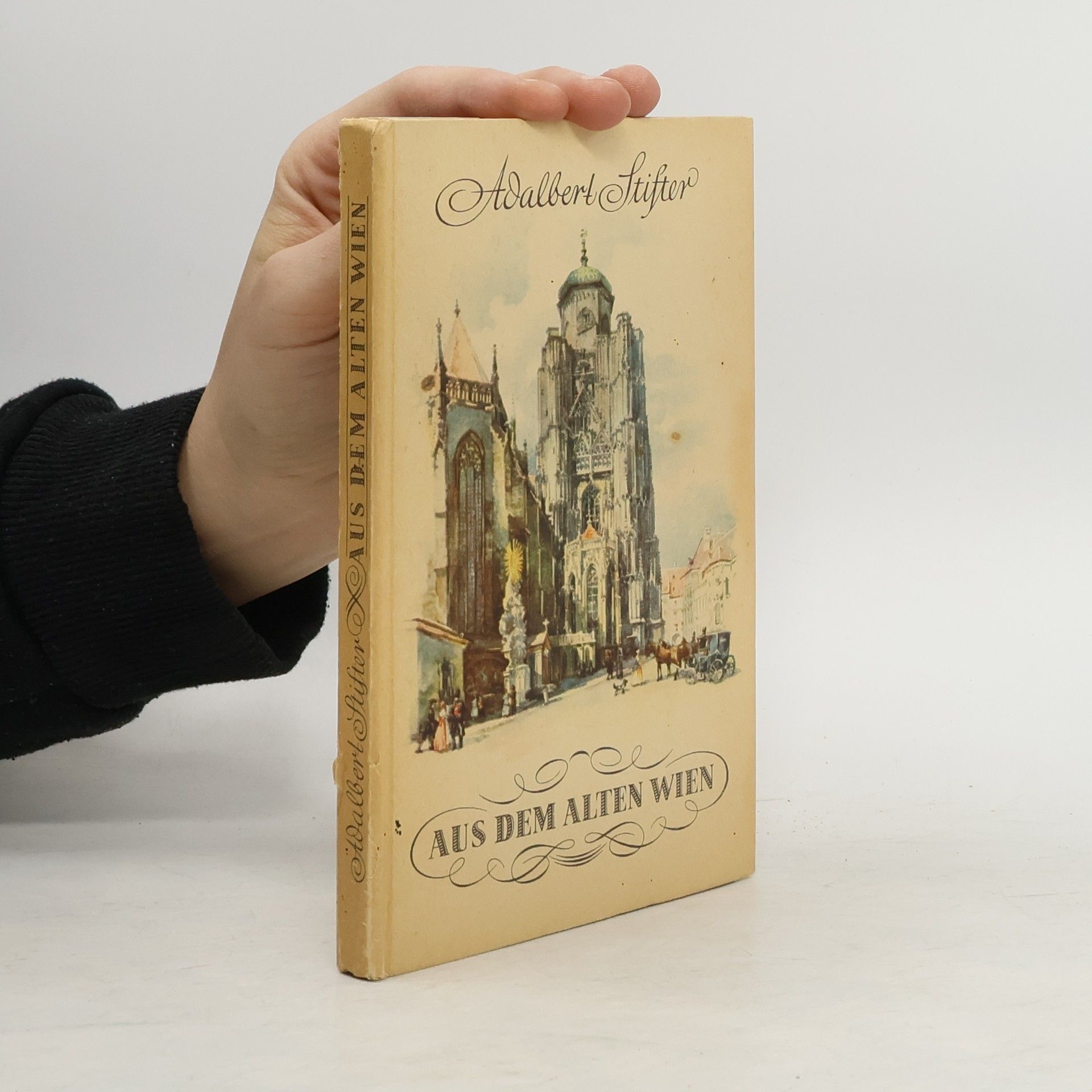 Adalbert Stifter Aus dem alten Wien