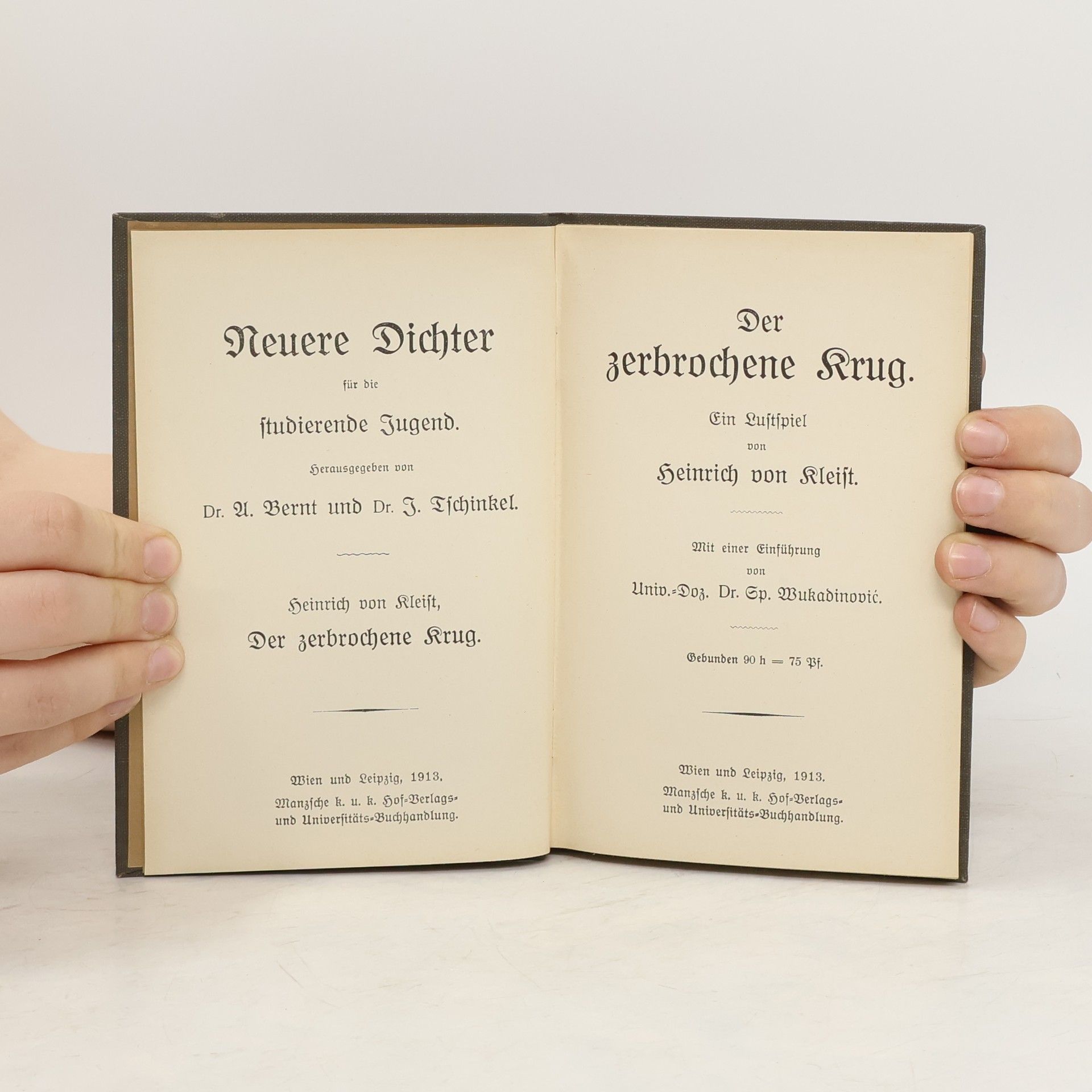 Kolektiv autorů Der zerbrochene Krug