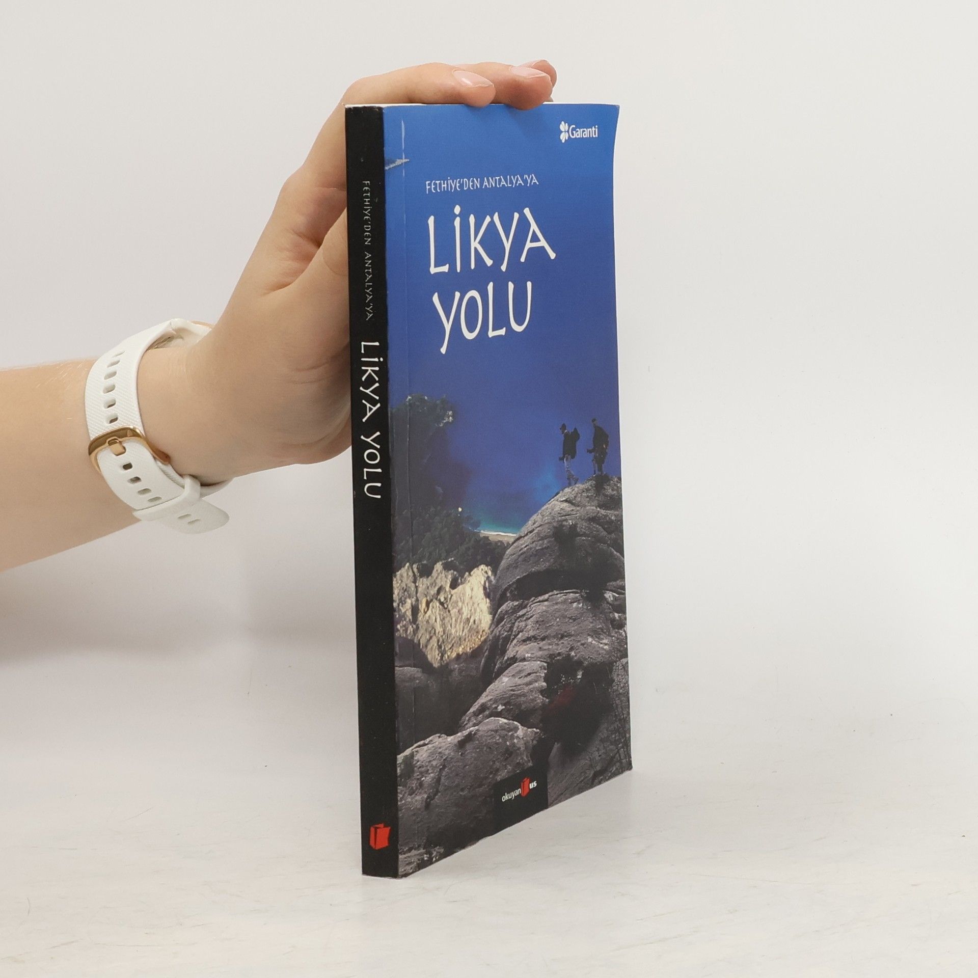 Collectif d'auteurs Likya Yolu