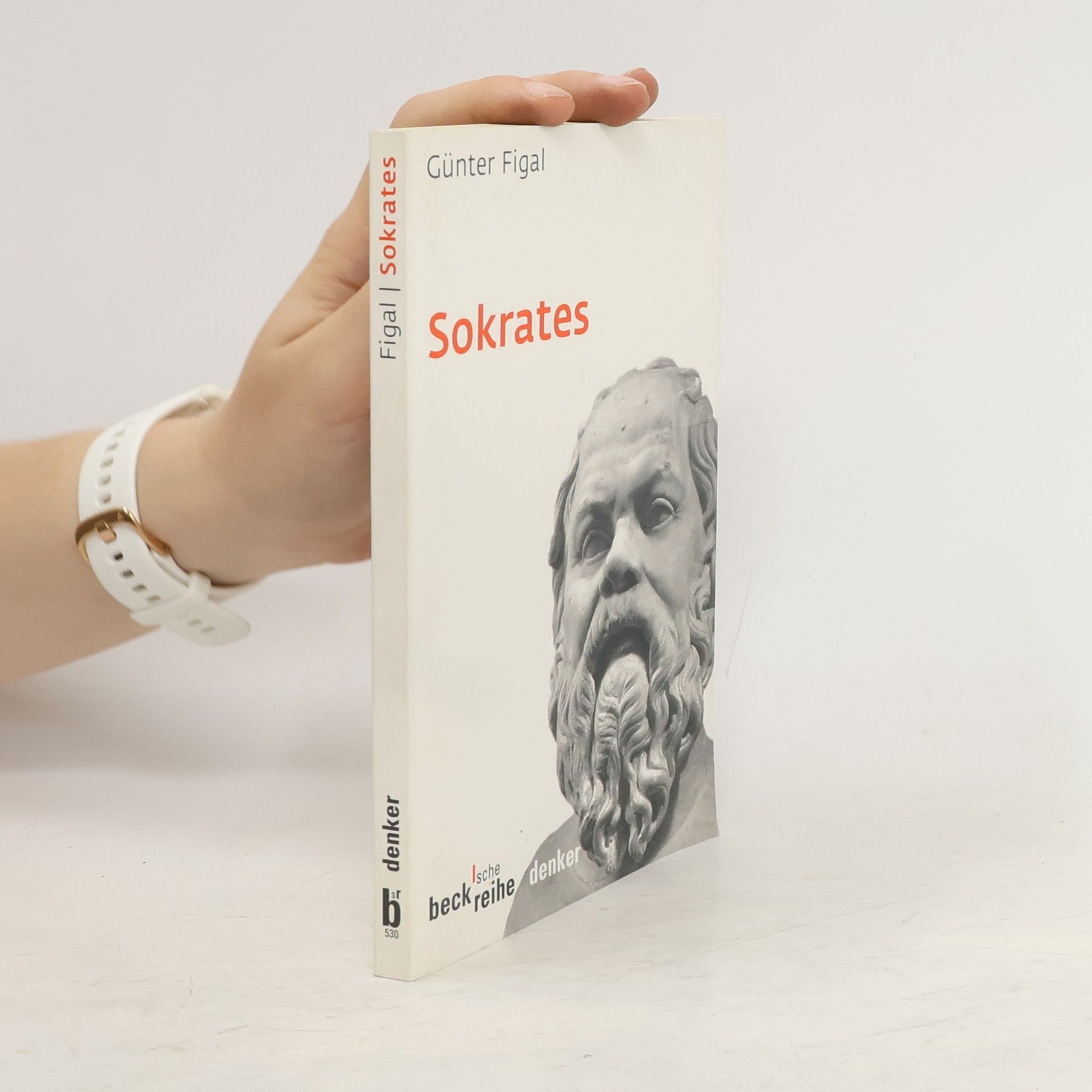 Günter Figal Sokrates