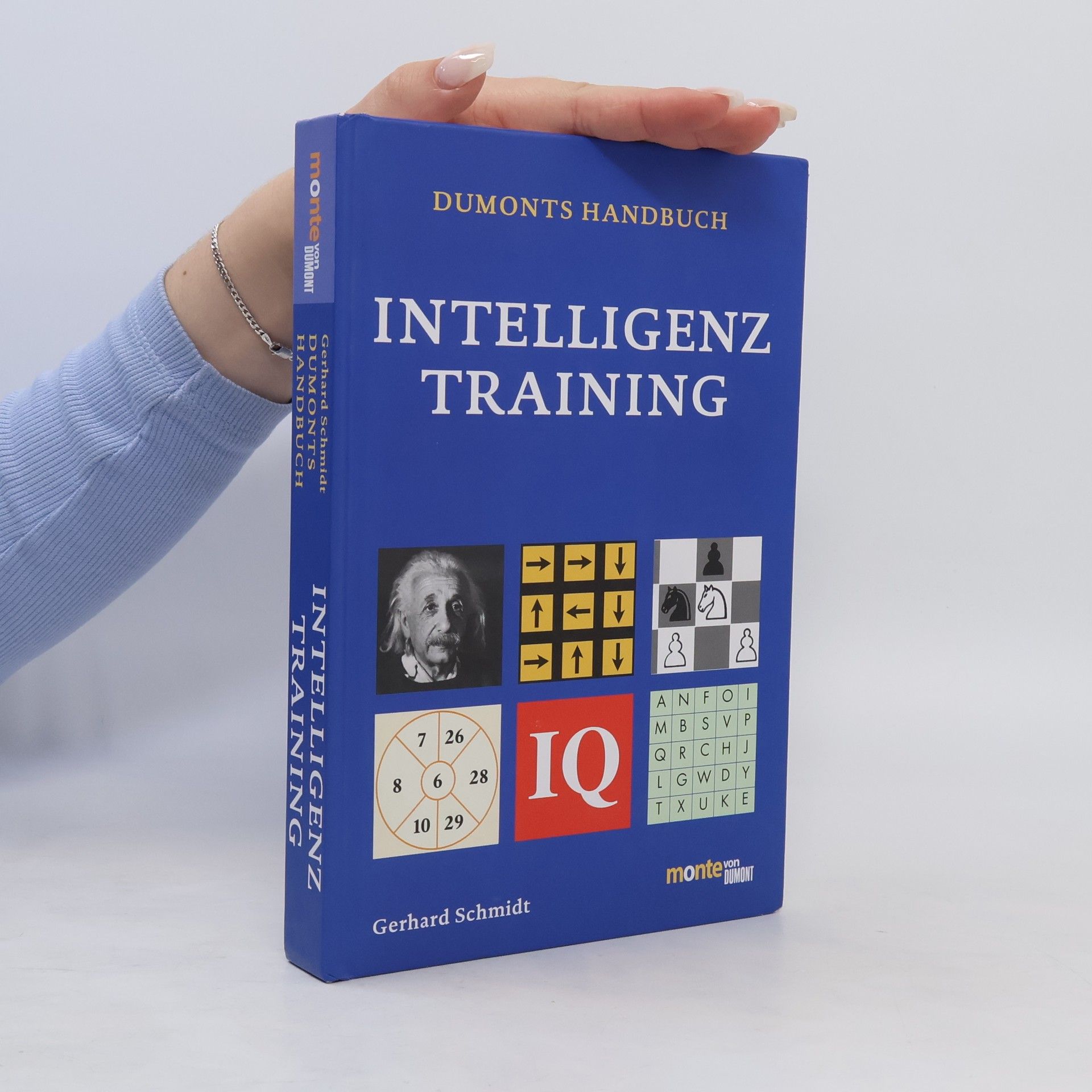 Gerhard Schmidt DuMonts Handbuch Intelligenztraining