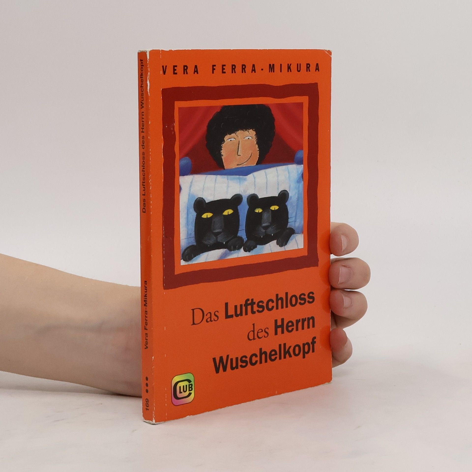 Vera Ferra-Mikura Das Luftschloss des Herrn Wuschelkopf