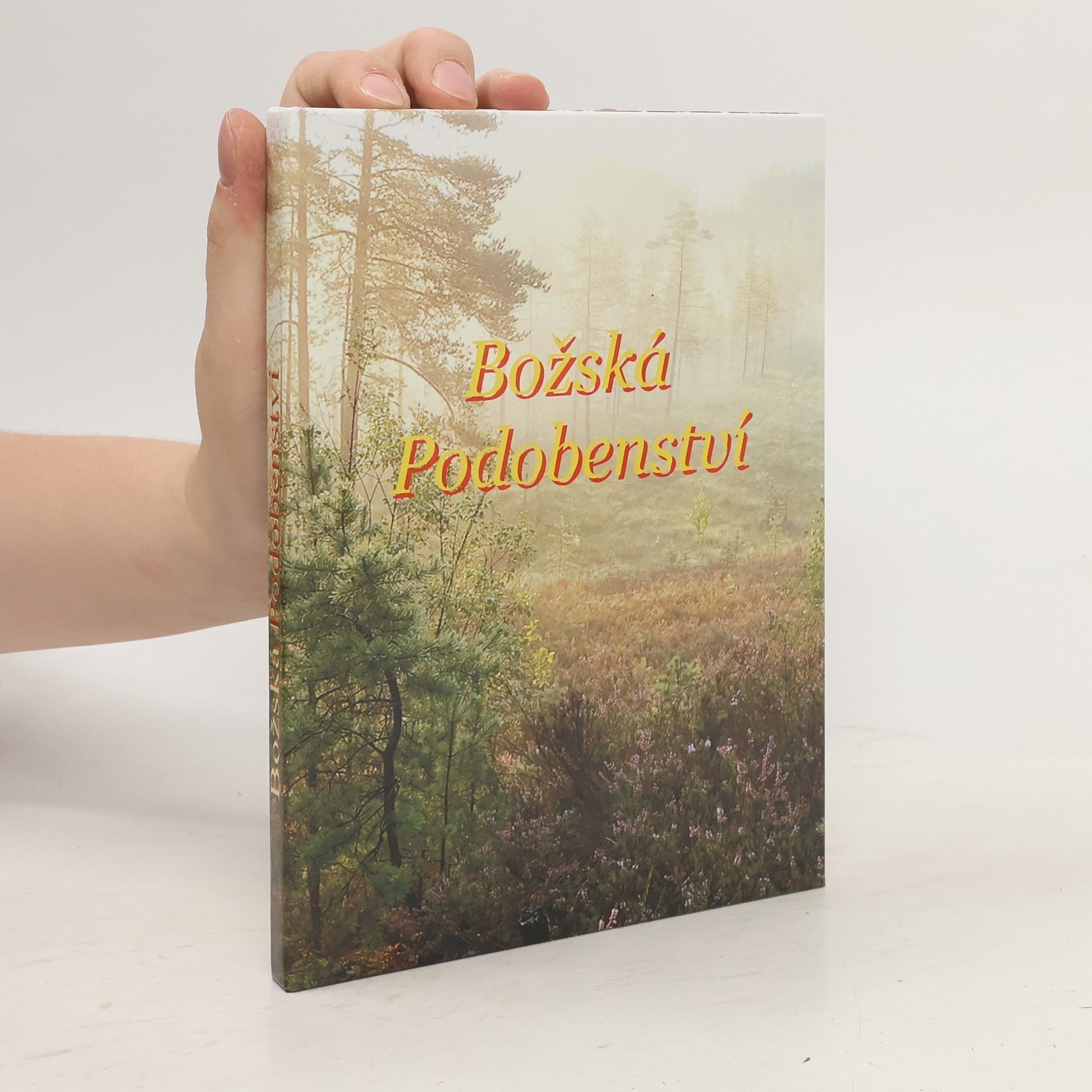 Vladimir Vasiľjevič Antonov Božská podobenství