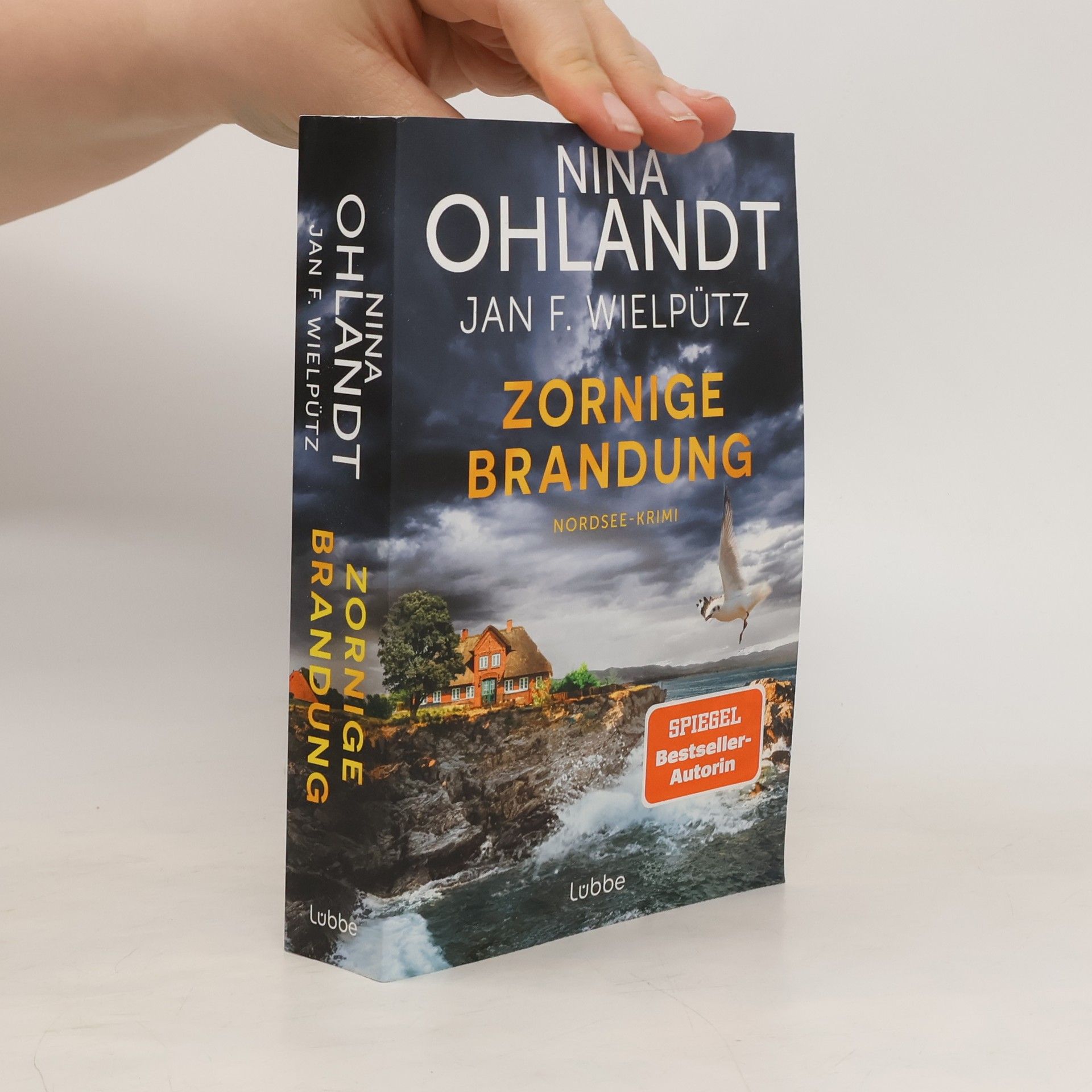 Nina Ohlandt Zornige Brandung