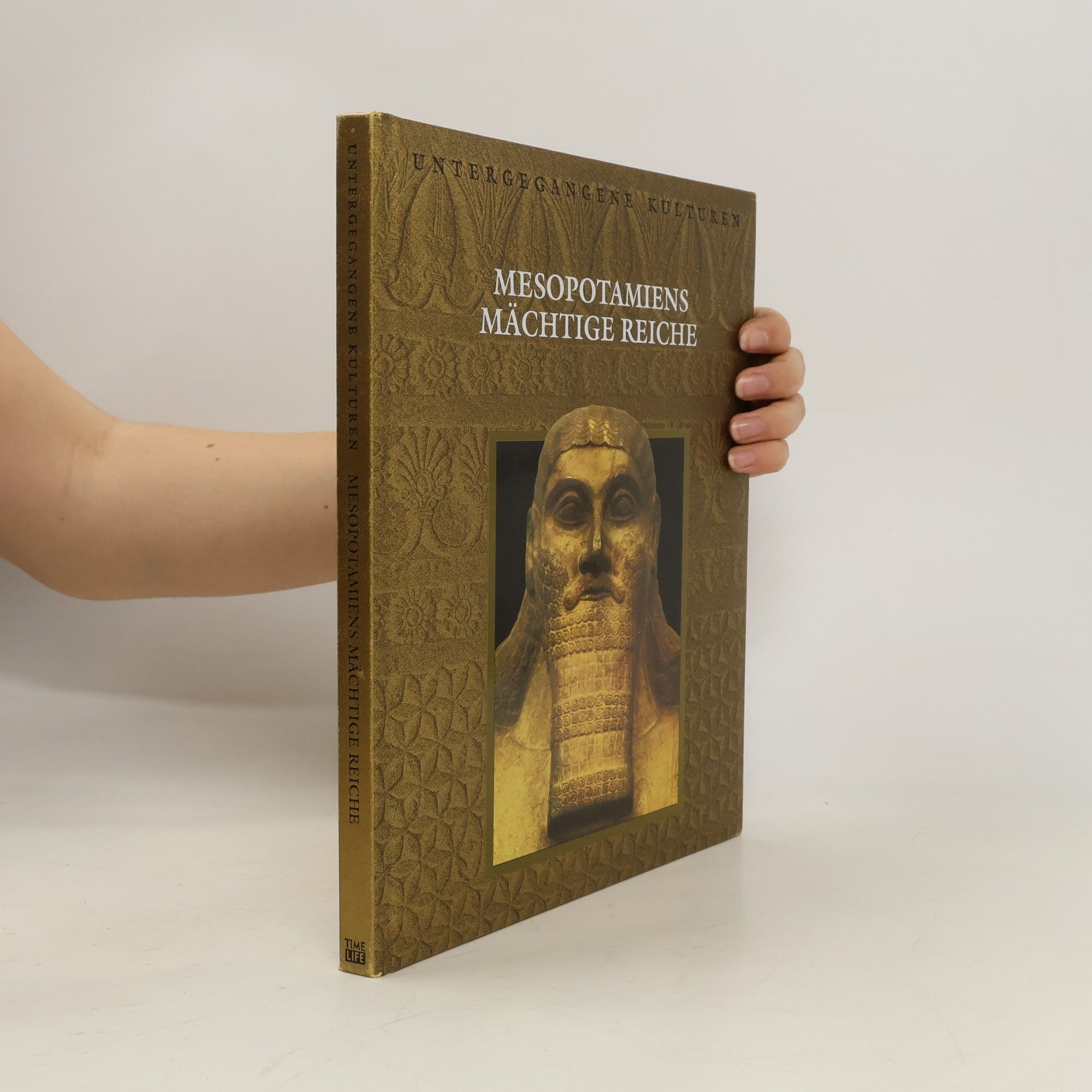 Autores varios Mesopotamiens mächtige Reiche